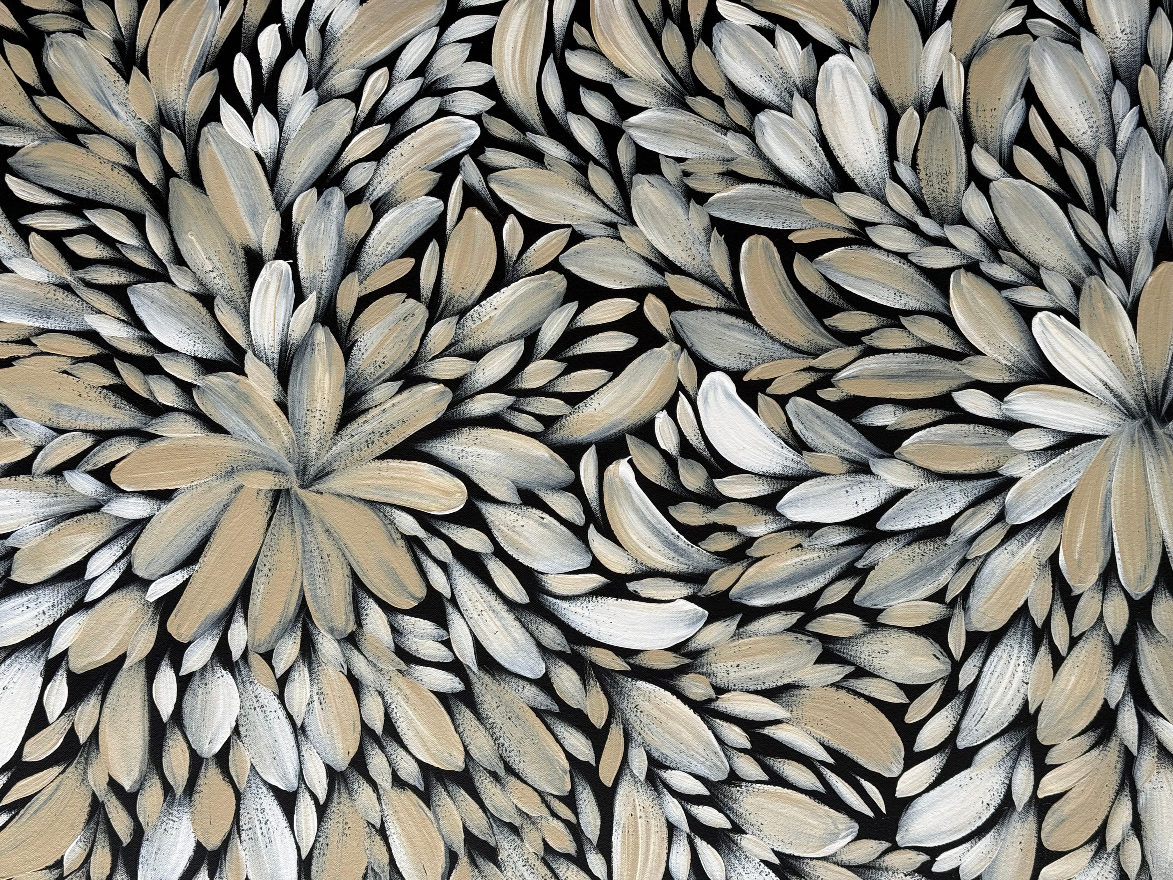 Louise Numina Napananka - Bush Medicine Leaves .16-76