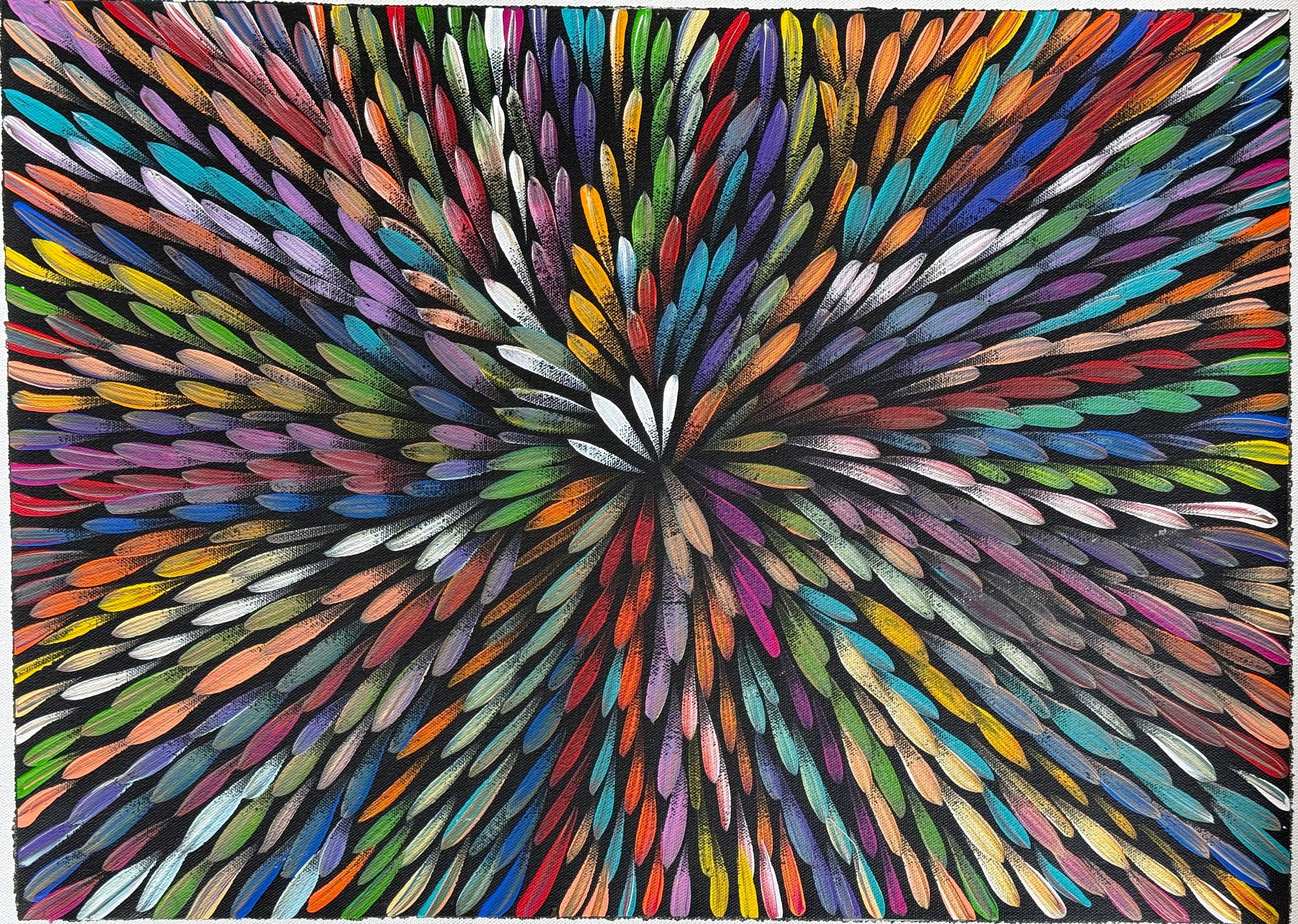 Selina Numina Kamprina - Bush Medicine Leaves .38-5