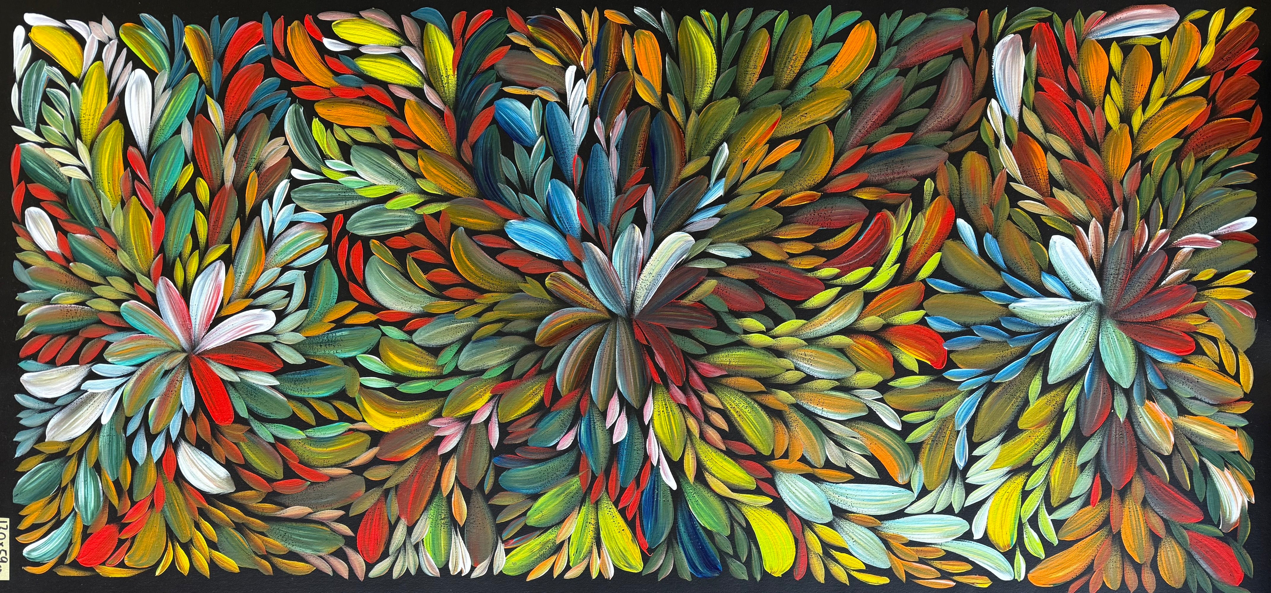 Louise Numina Napananka - Bush Medicine Leaves .19-12