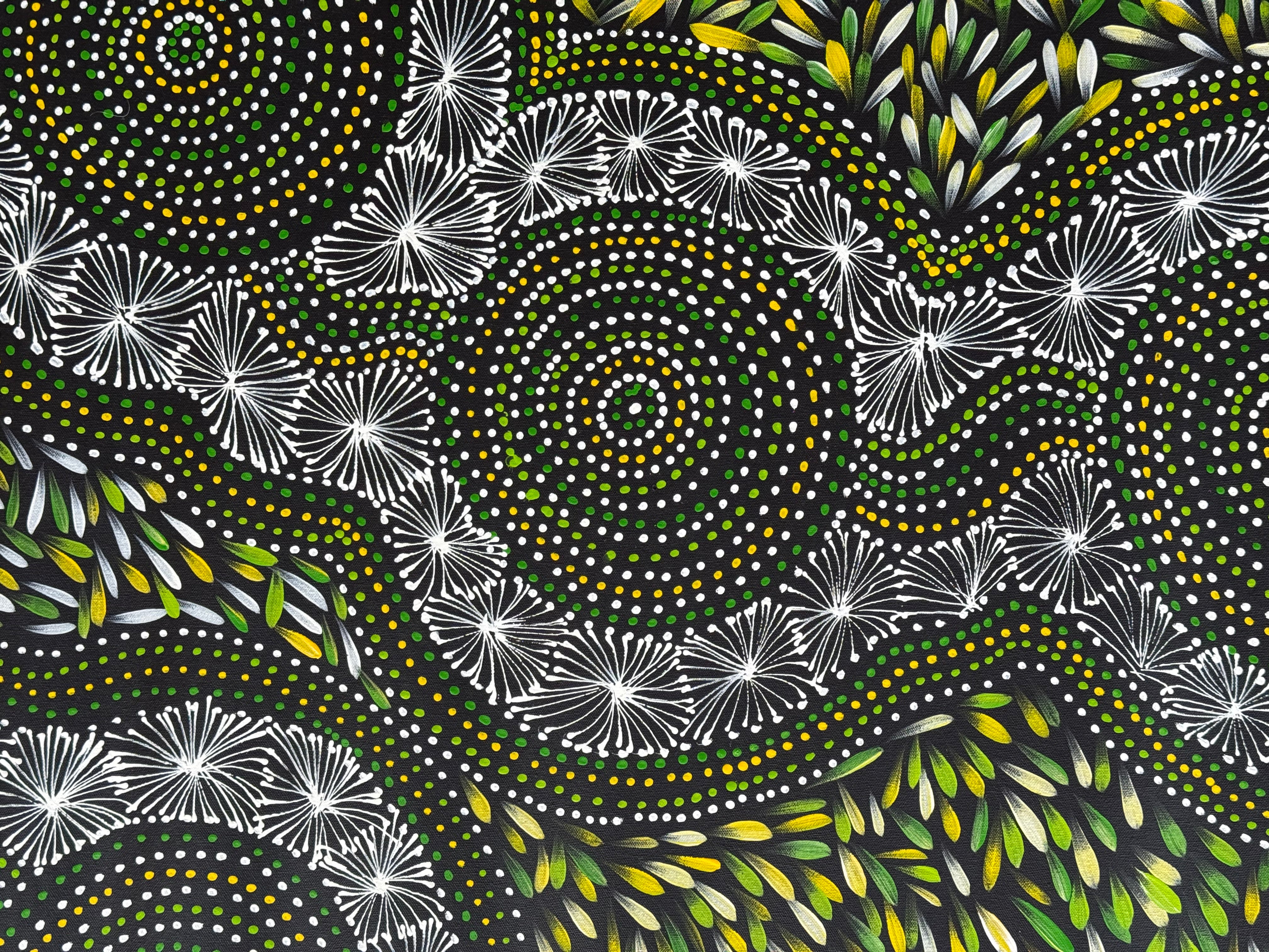 Selina Numina Kamprina - Seeds and Waterholes .92-13