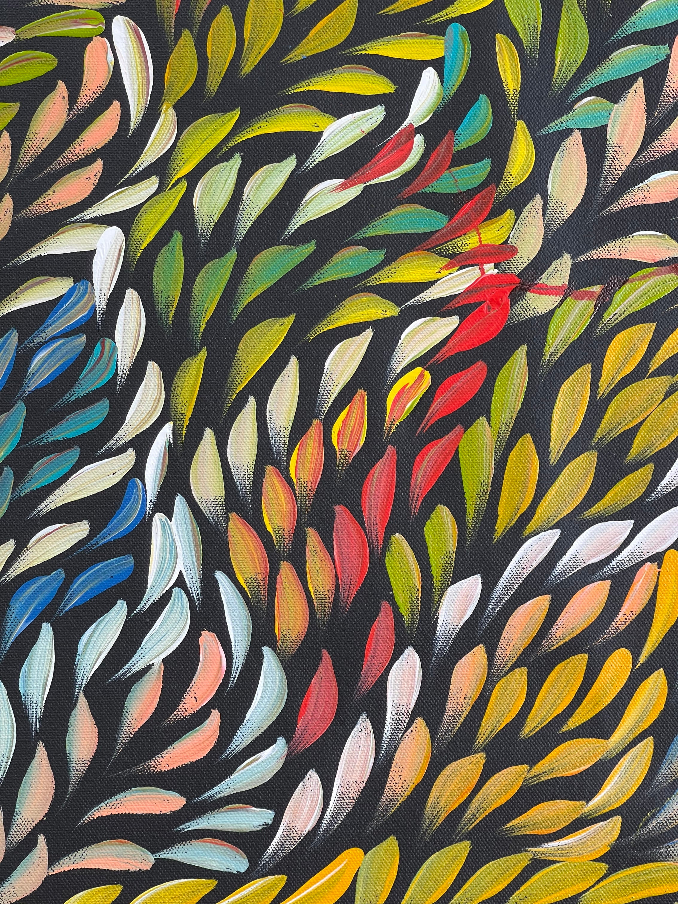 Caroline Numina - Bush Medicine Leaves .31-11