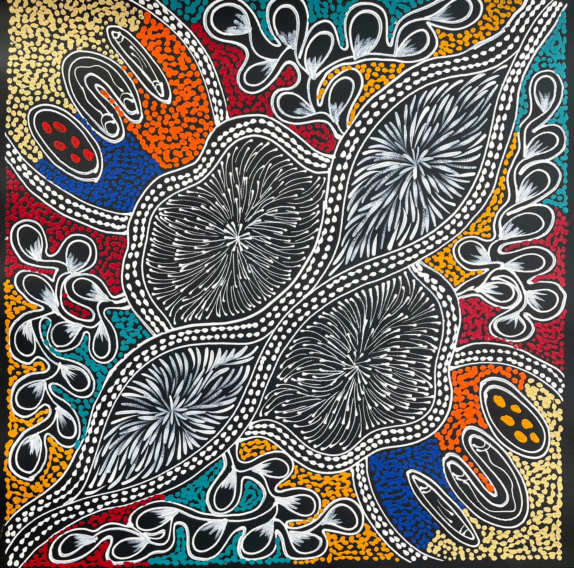 Sharon Numina - My Country Dreaming - 56x57cm .28-10