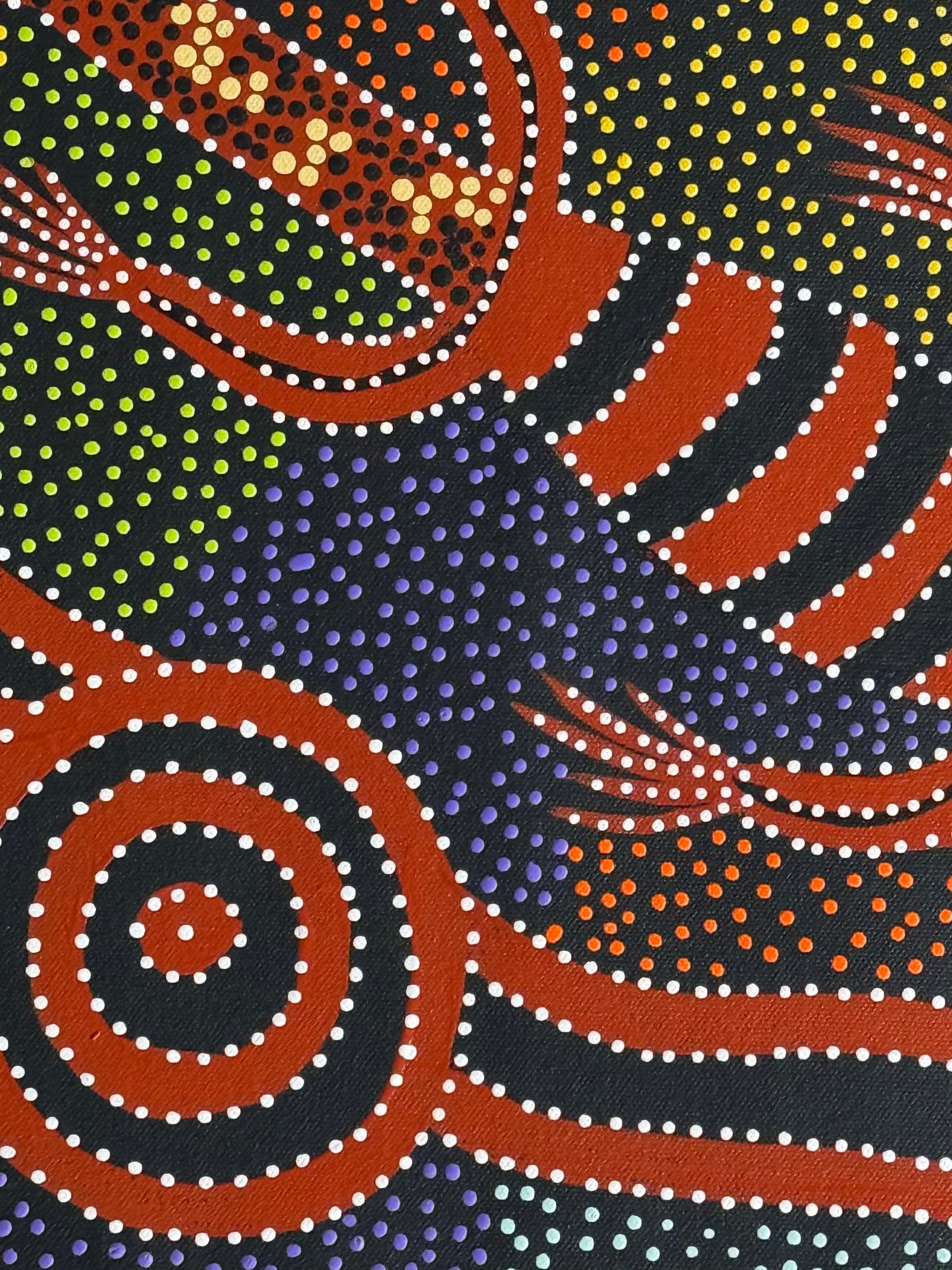 Jacinta Numina Waugh - Goanna Dreaming .46-2