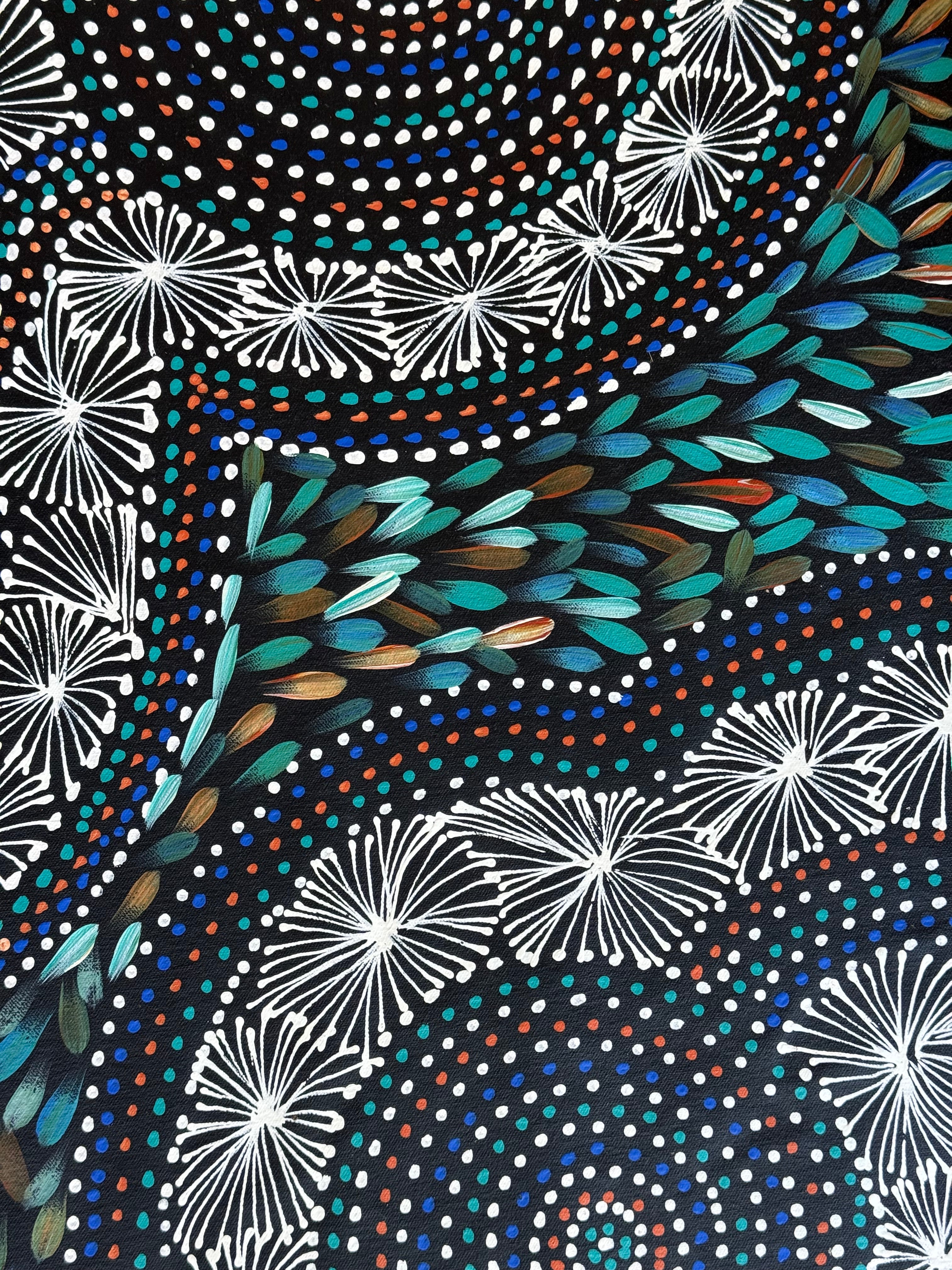 Selina Numina Kamprina - Seeds and Waterholes .92-16