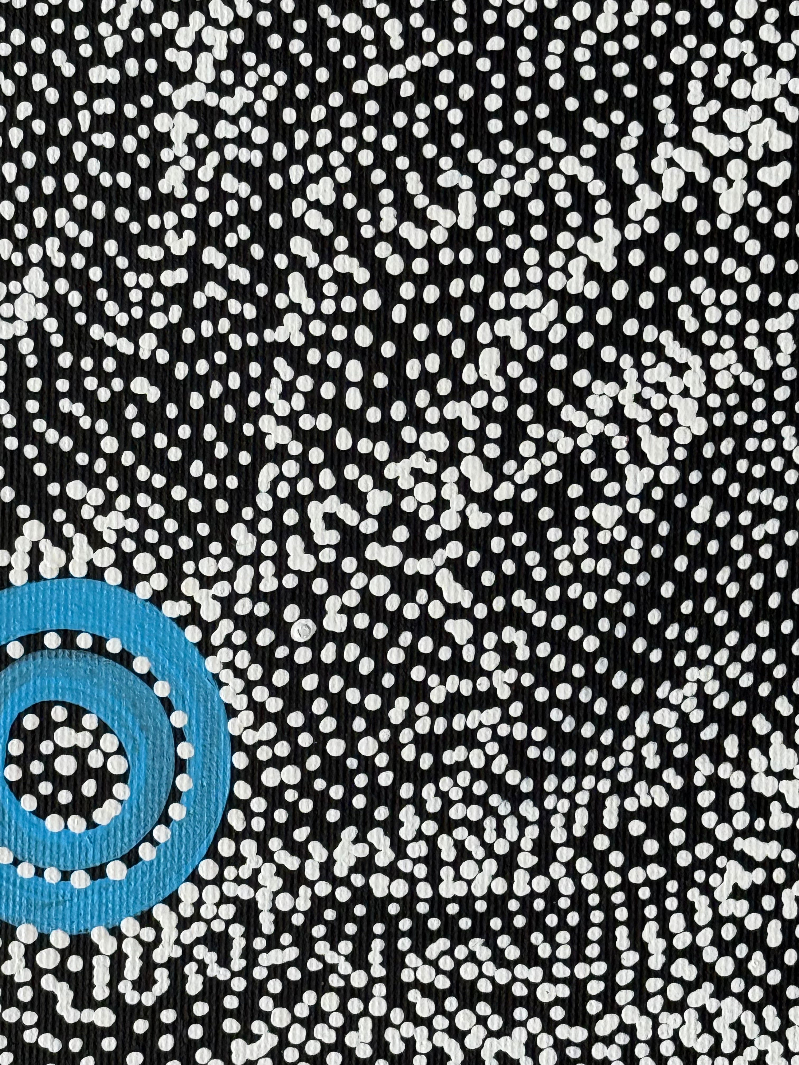 Justinna Napaljarri Sims - Yanjirlpirri or Napaljarri-Warnu Jukurrpa (Star or Seven Sisters Dreaming) - Stretched