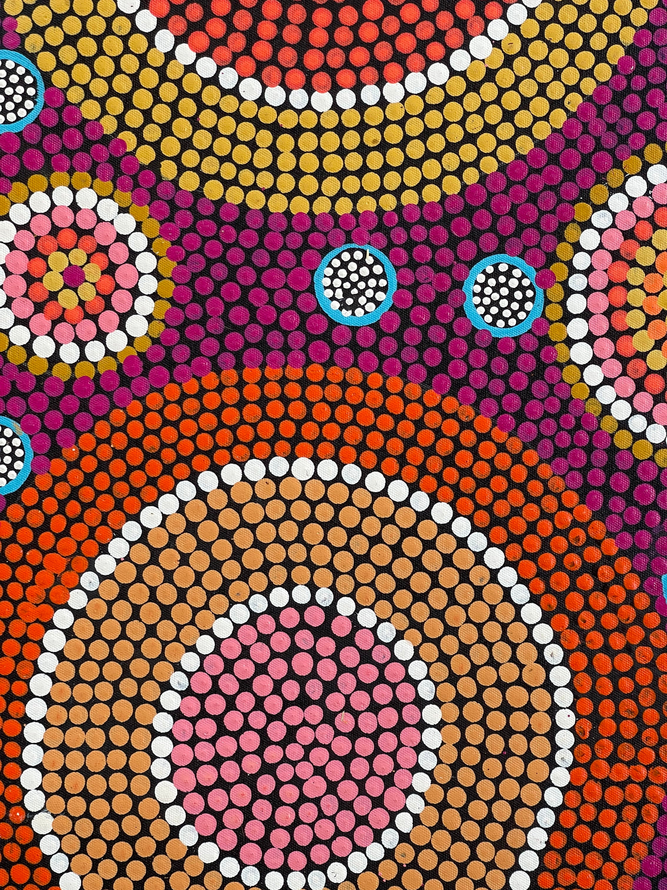 Maryanne Gibson - Bush Seeds, Wild Bush Flowers - 57x94cm .54-1