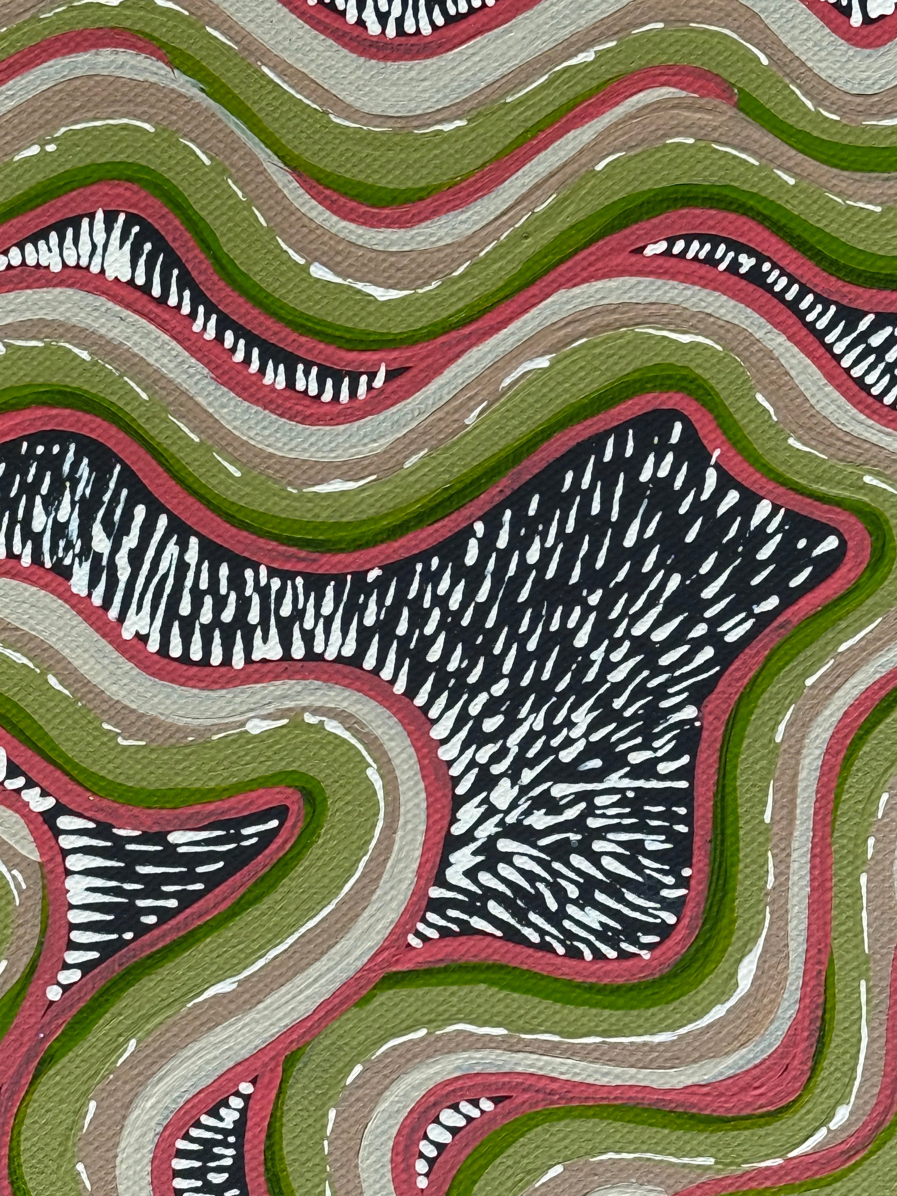 Deidre Burgoyne Rosier - Tracks Through The Land & Country .06-6 *pre-stretched*