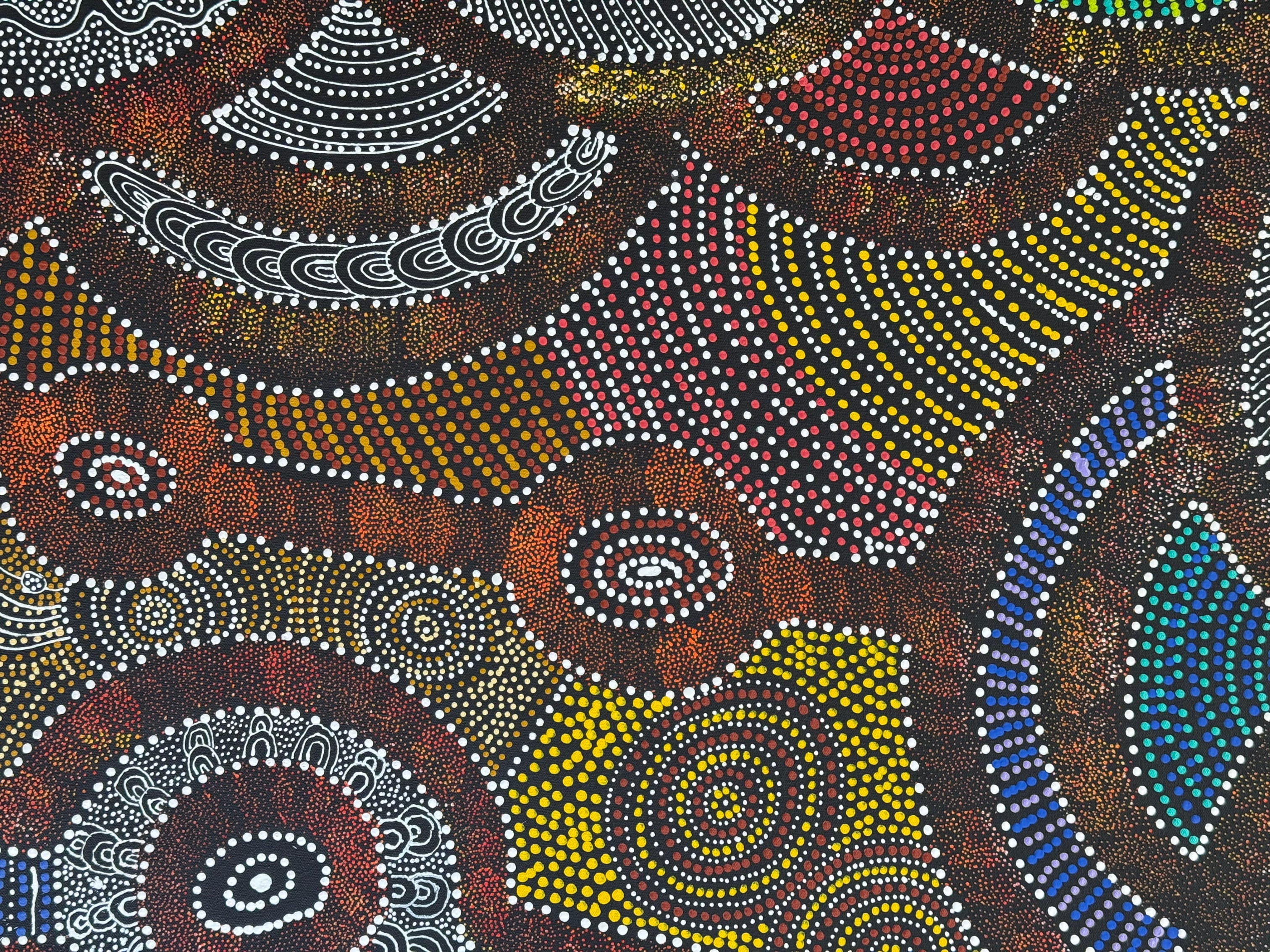 Caroline Numina - Thorny Lizard Dreaming .98