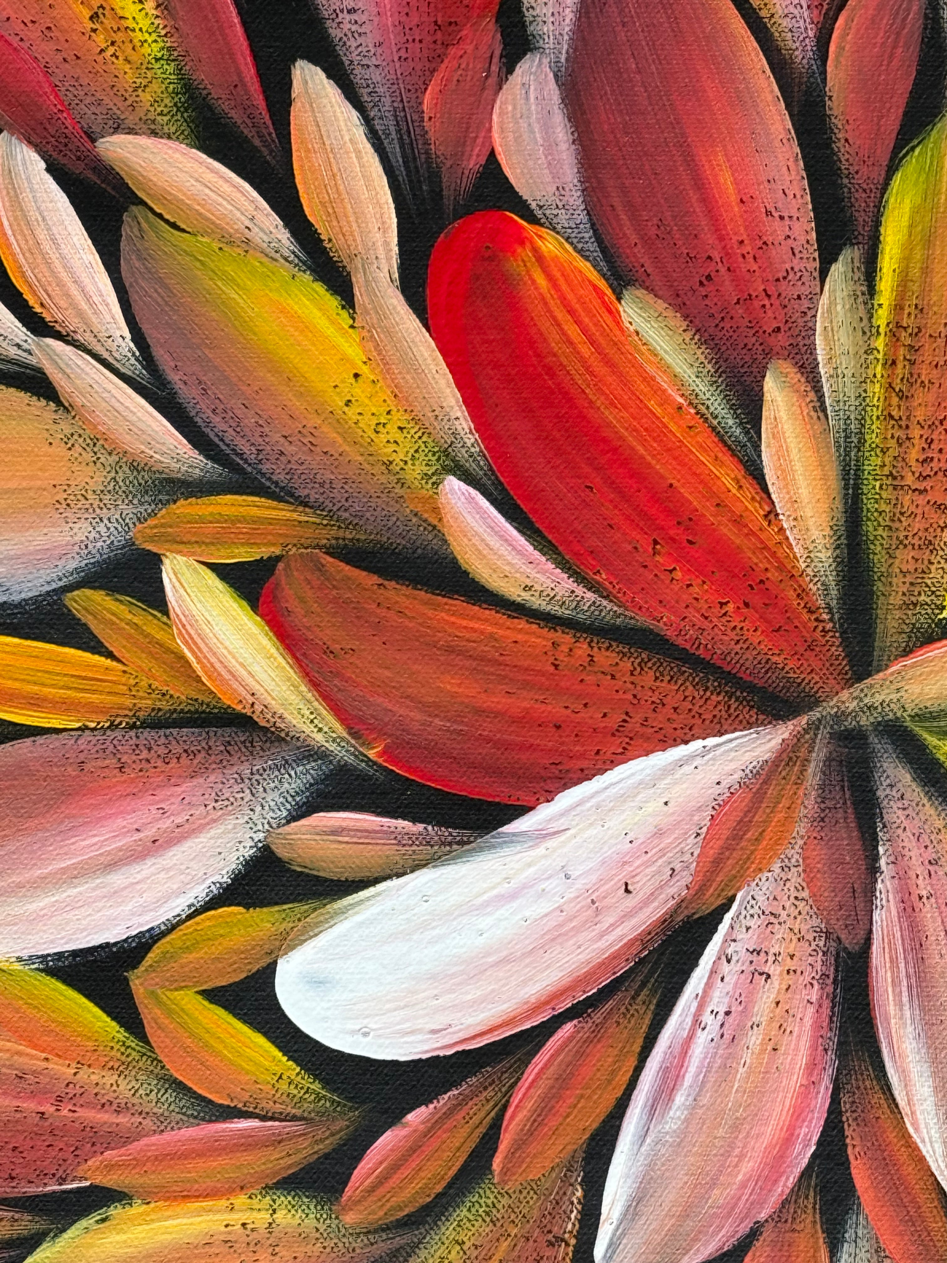 Louise Numina Napananka - Bush Medicine Leaves .75-17