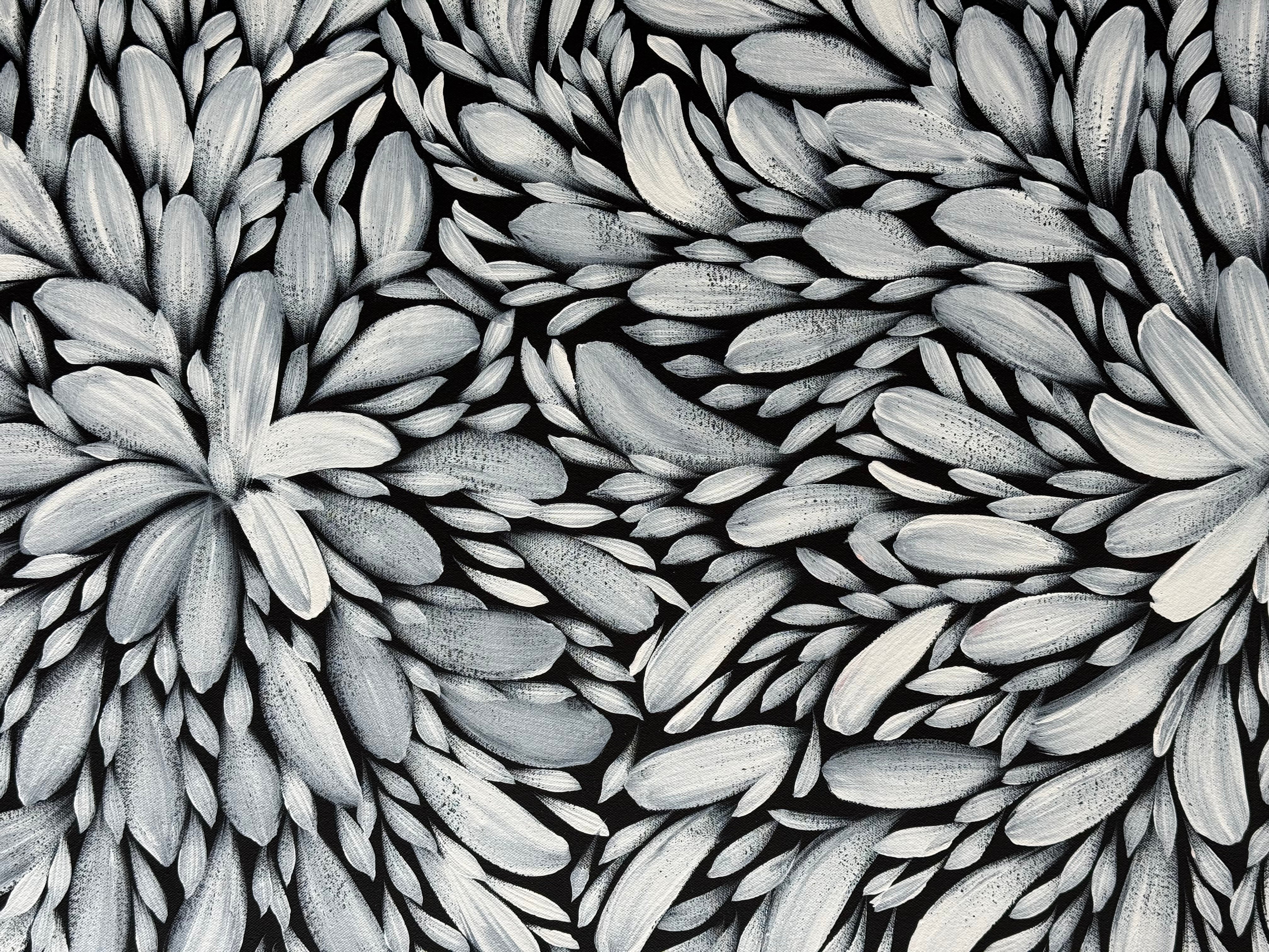 Louise Numina Napananka - Bush Medicine Leaves .16-75