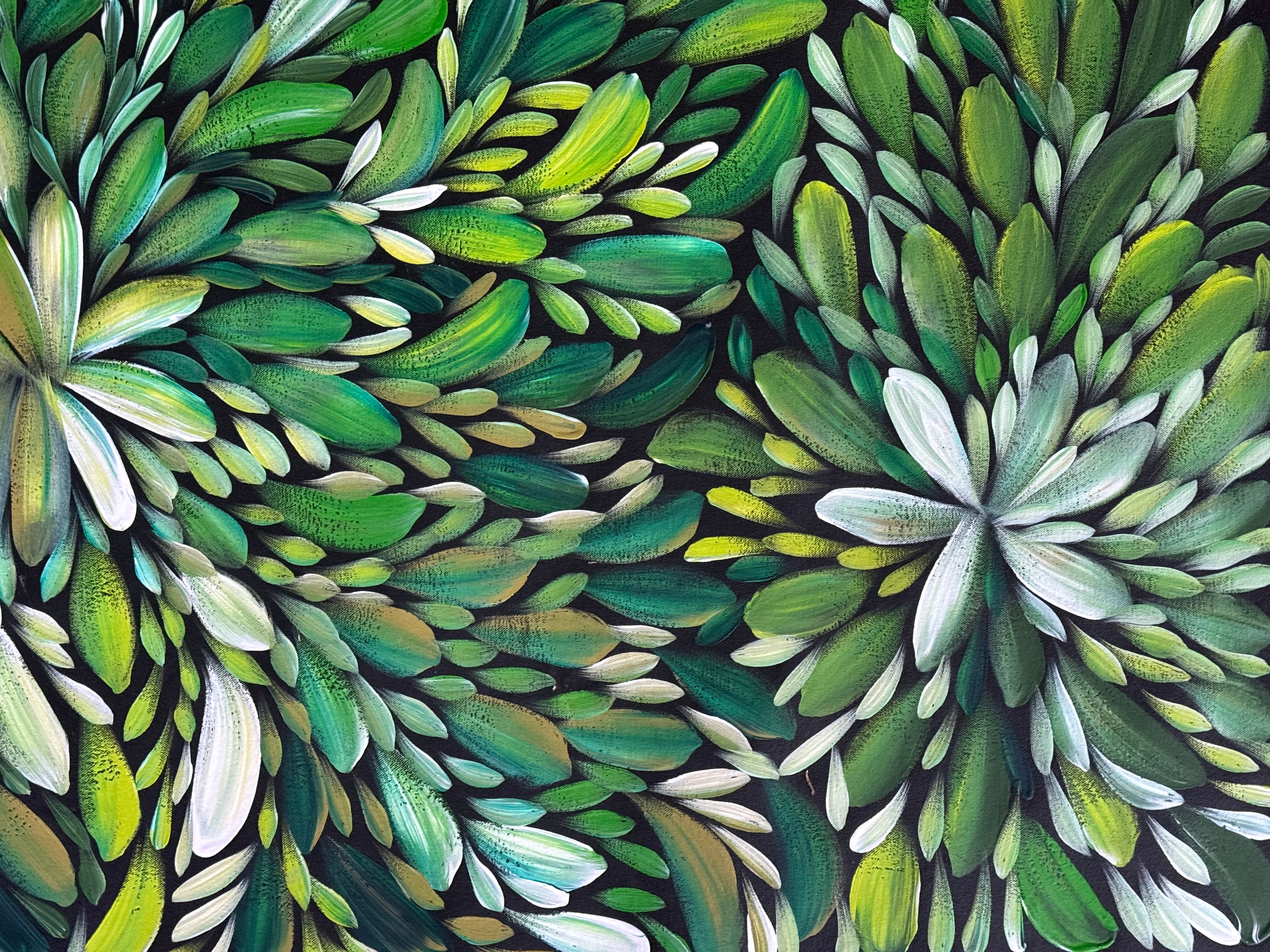 Louise Numina Napananka - Bush Medicine Leaves .16-31