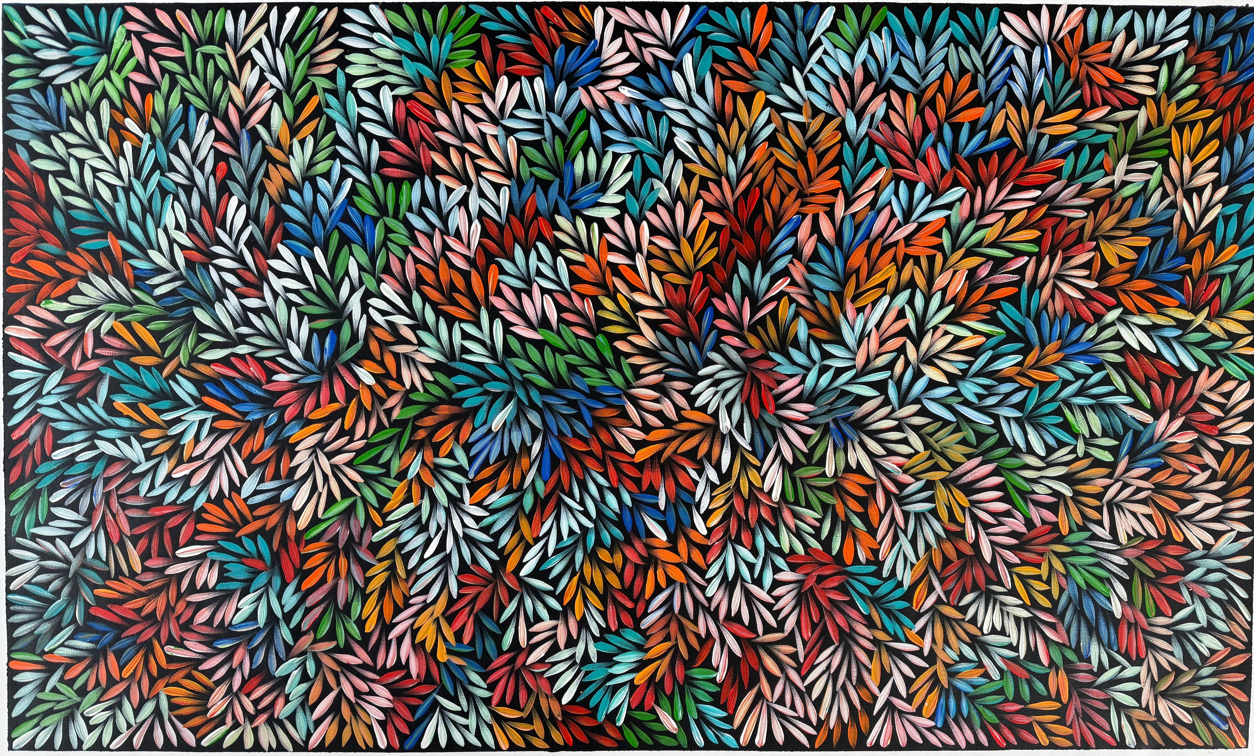 Sharon Numina - Bush Medicine Leaves .40-1