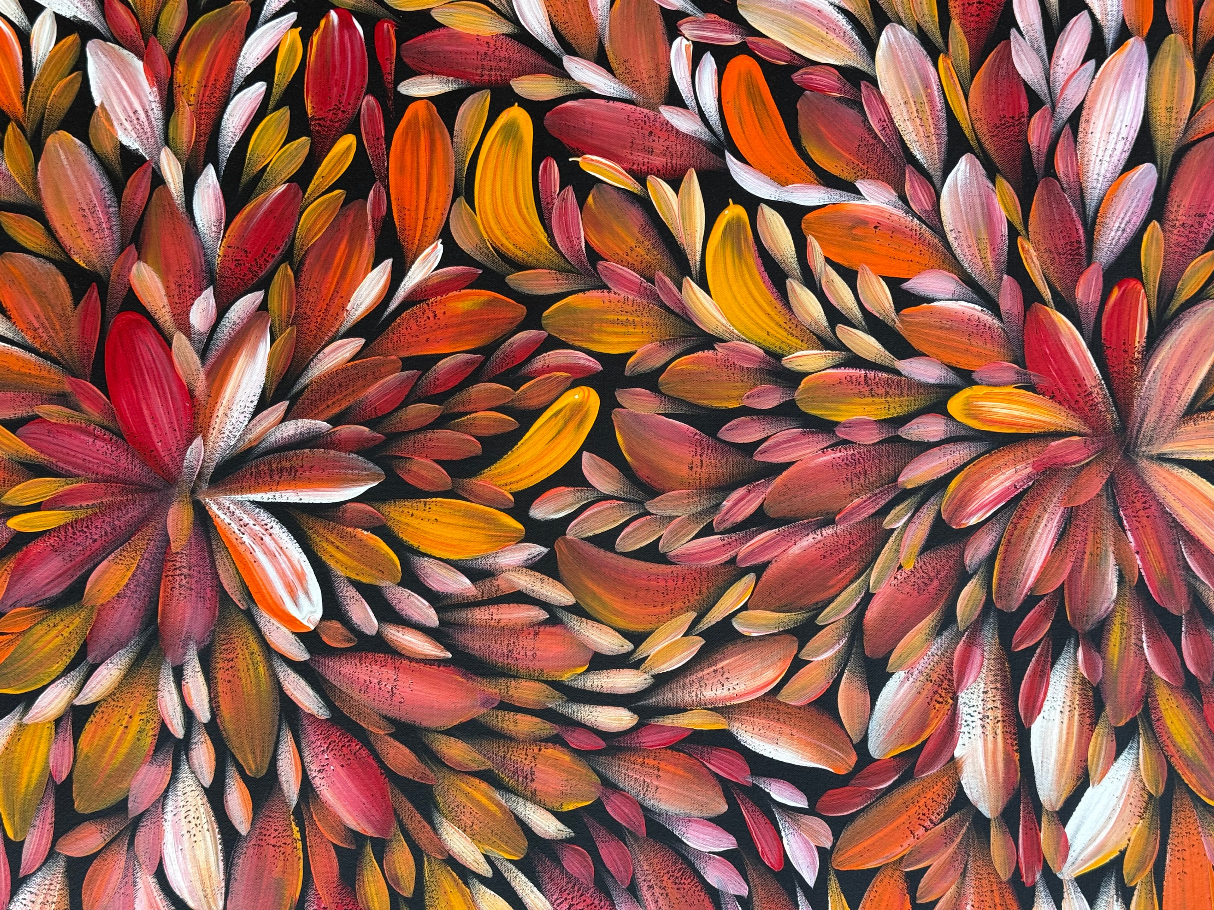 Louise Numina Napananka - Bush Medicine Leaves .57-50