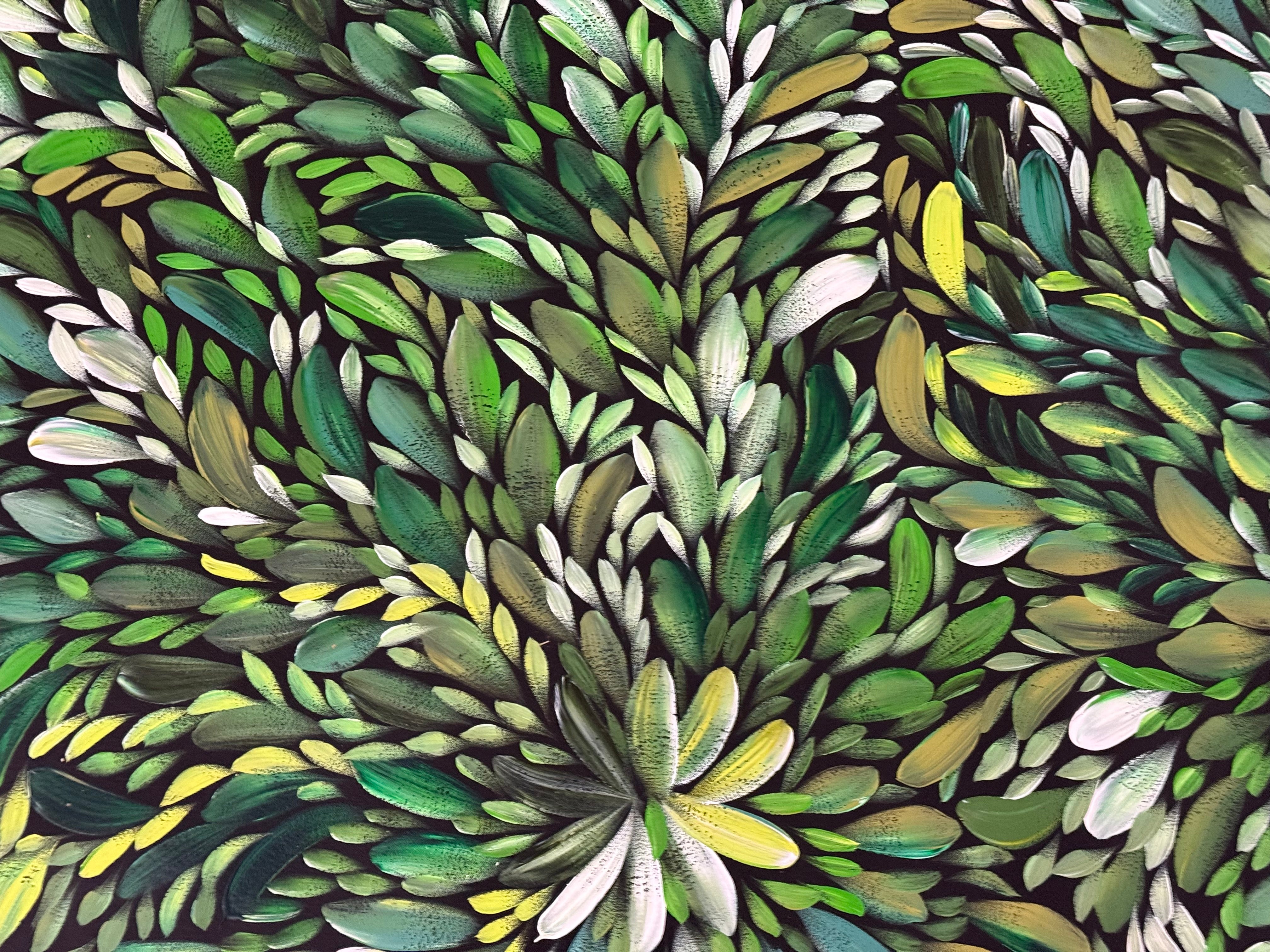Louise Numina Napananka - Bush Medicine Leaves .22-19