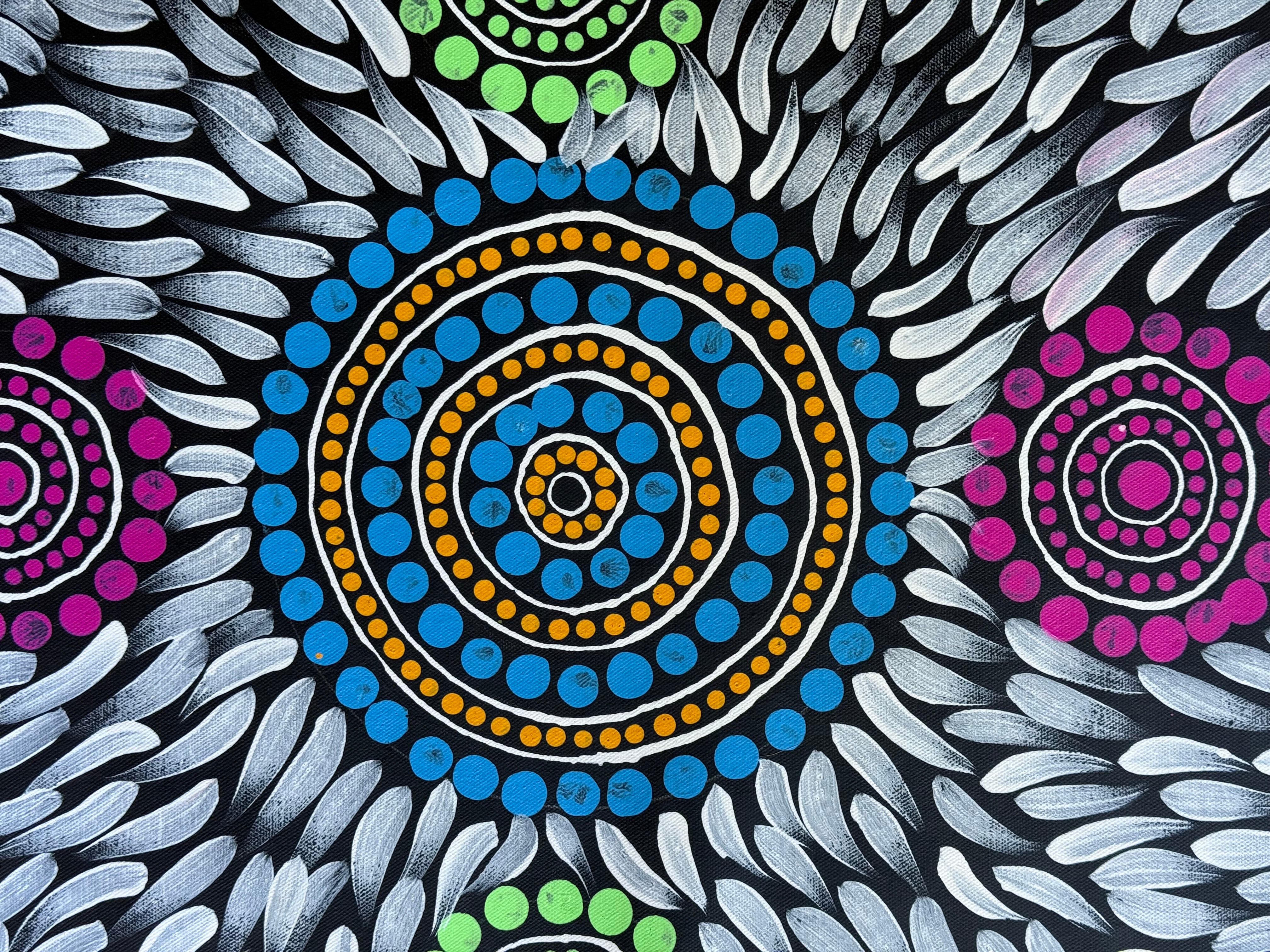 Sabina Gorey - Bush Medicine Leaves .04-1