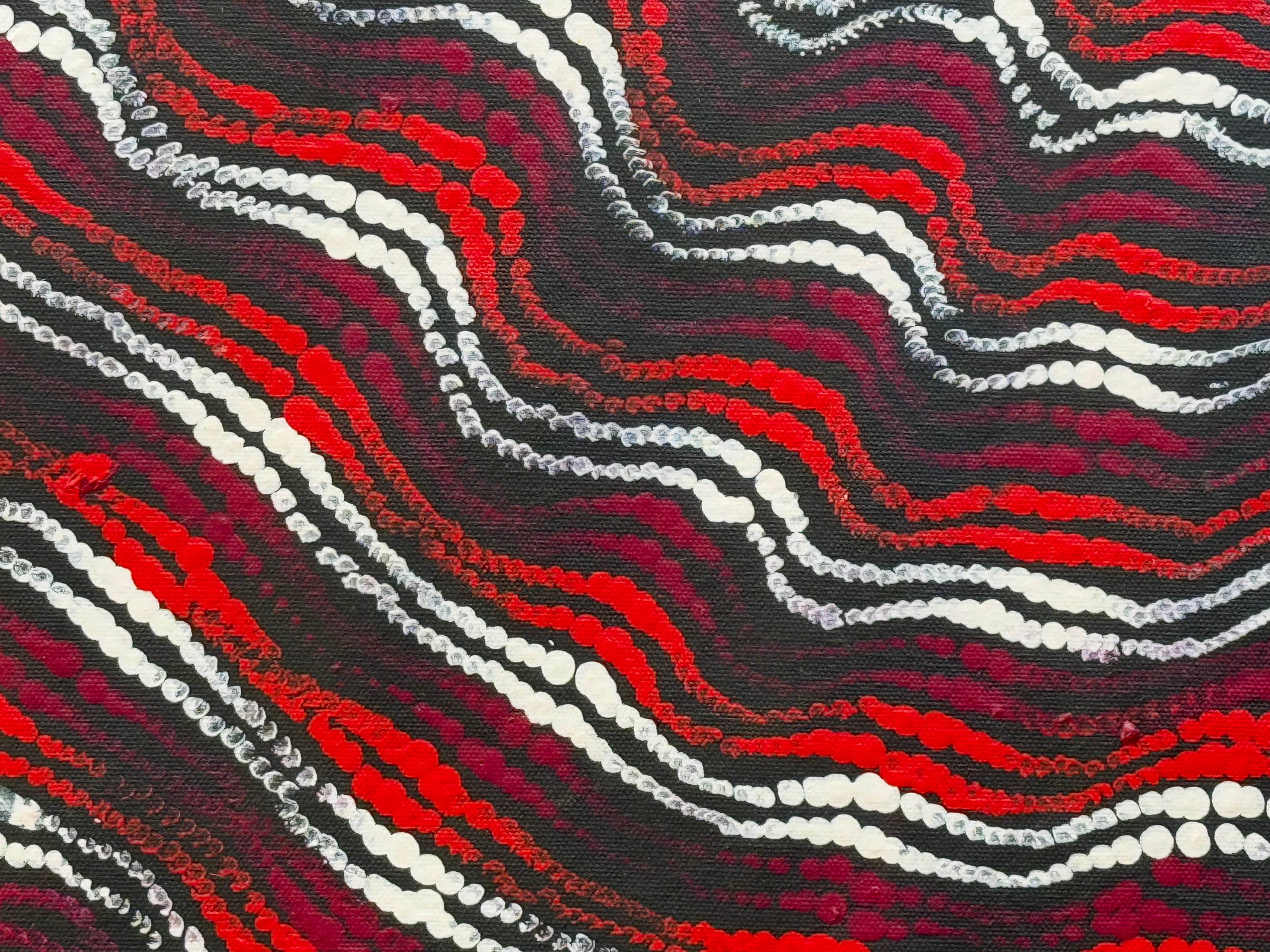 Maria Nampijinpa Brown - Pamapardu Jukurrpa (Flying Ant Dreaming) .27-1