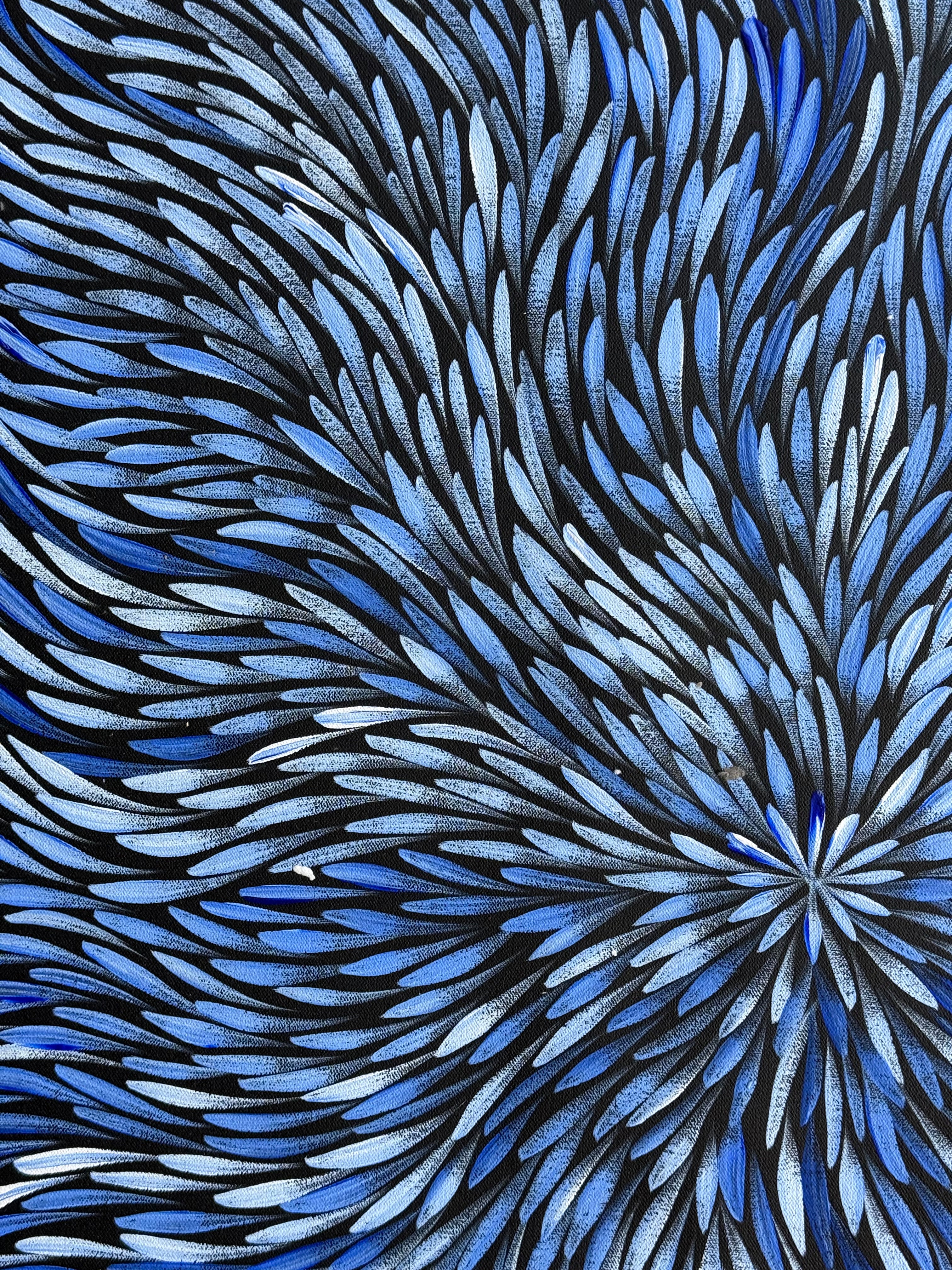 Sharon Numina - Bush Medicine Leaves .01-6