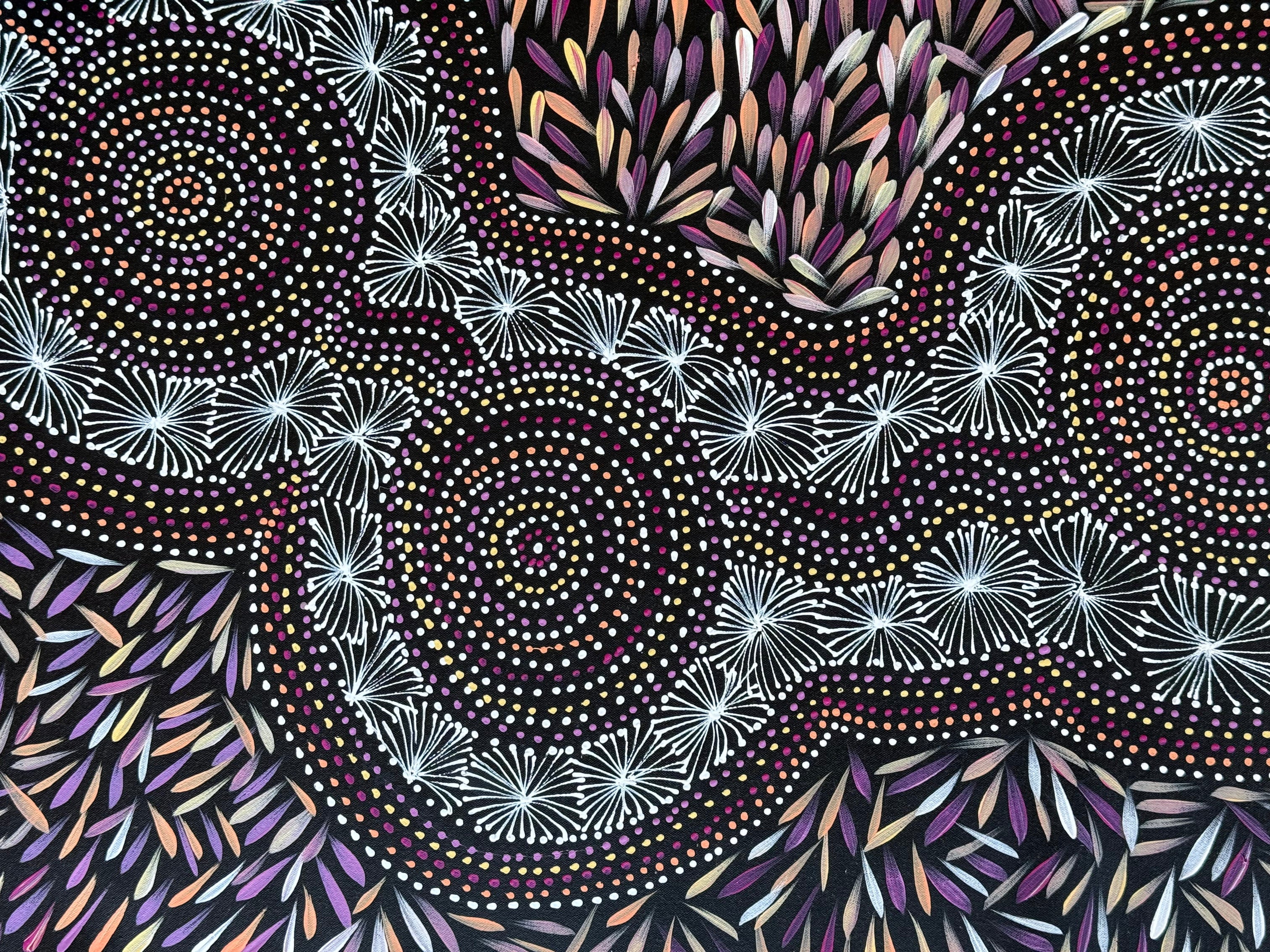 Selina Numina Kamprina - Bush Medicine Leaves with Spinifex Grass - 133x56cm .37-3