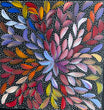 Louise Numina Napananka - Bush Medicine Leaves and Seeds .29-10