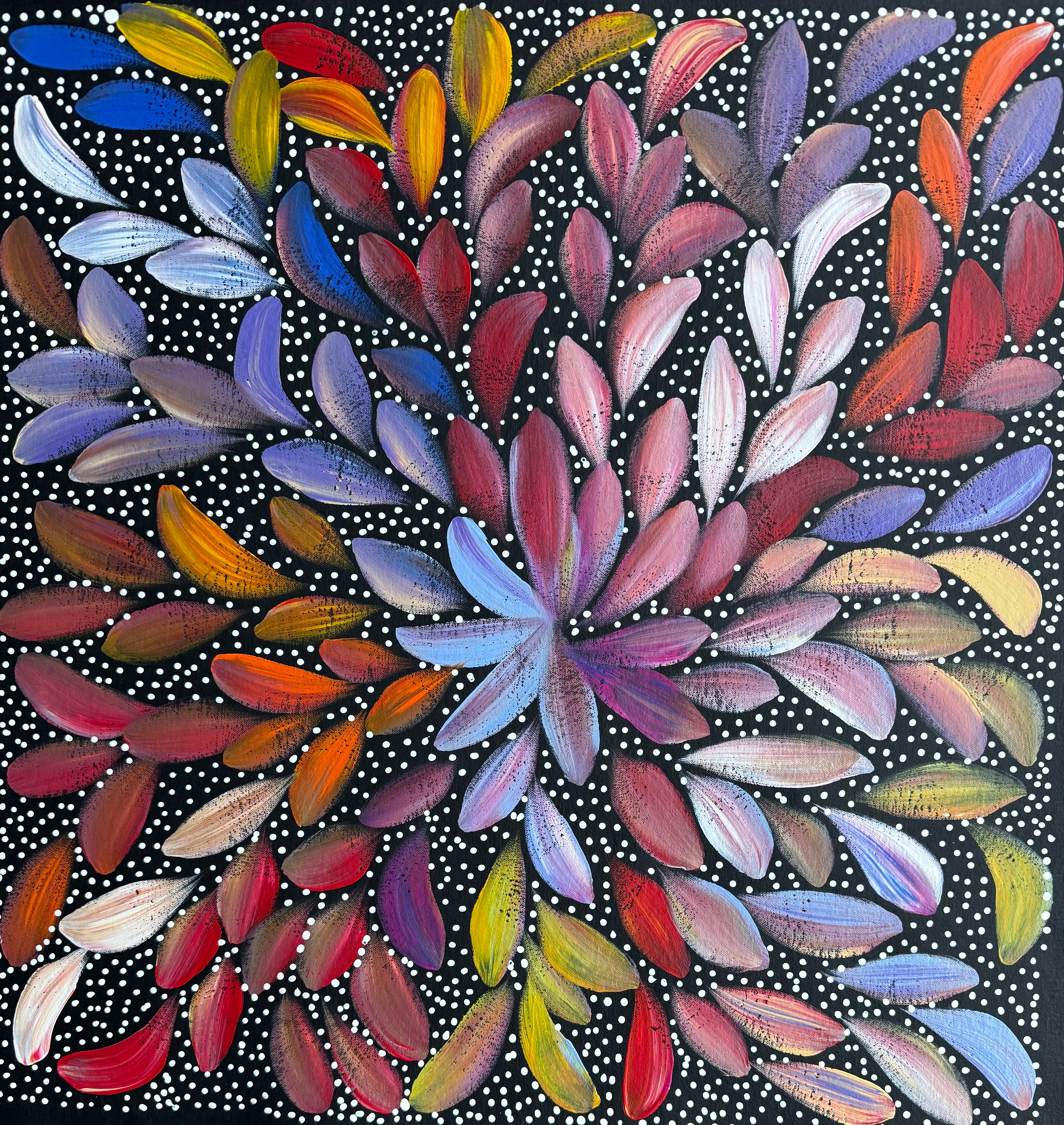 Louise Numina Napananka - Bush Medicine Leaves and Seeds .29-10