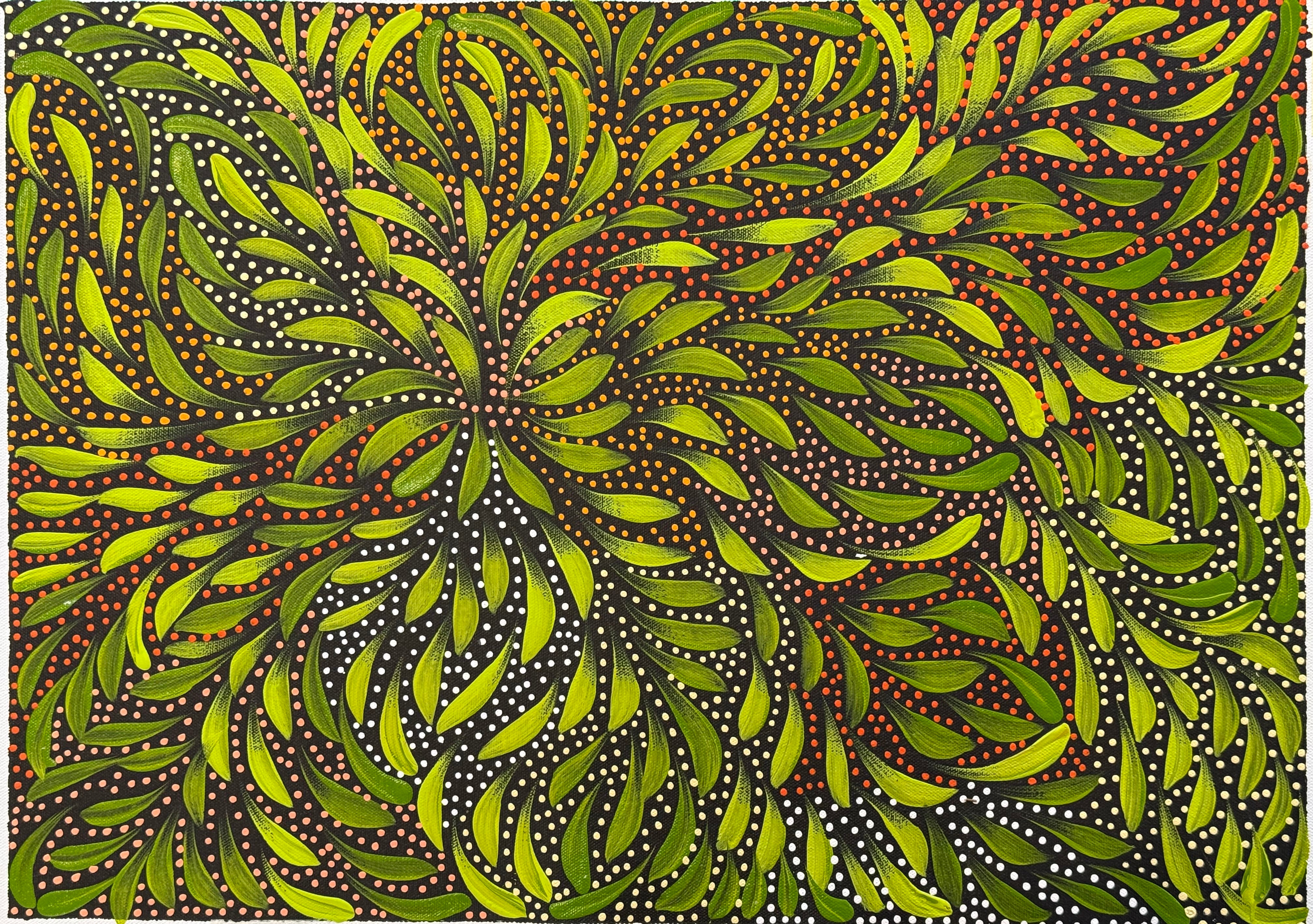 Caroline Numina - Bush Medicine Leaves and Seeds .04-17