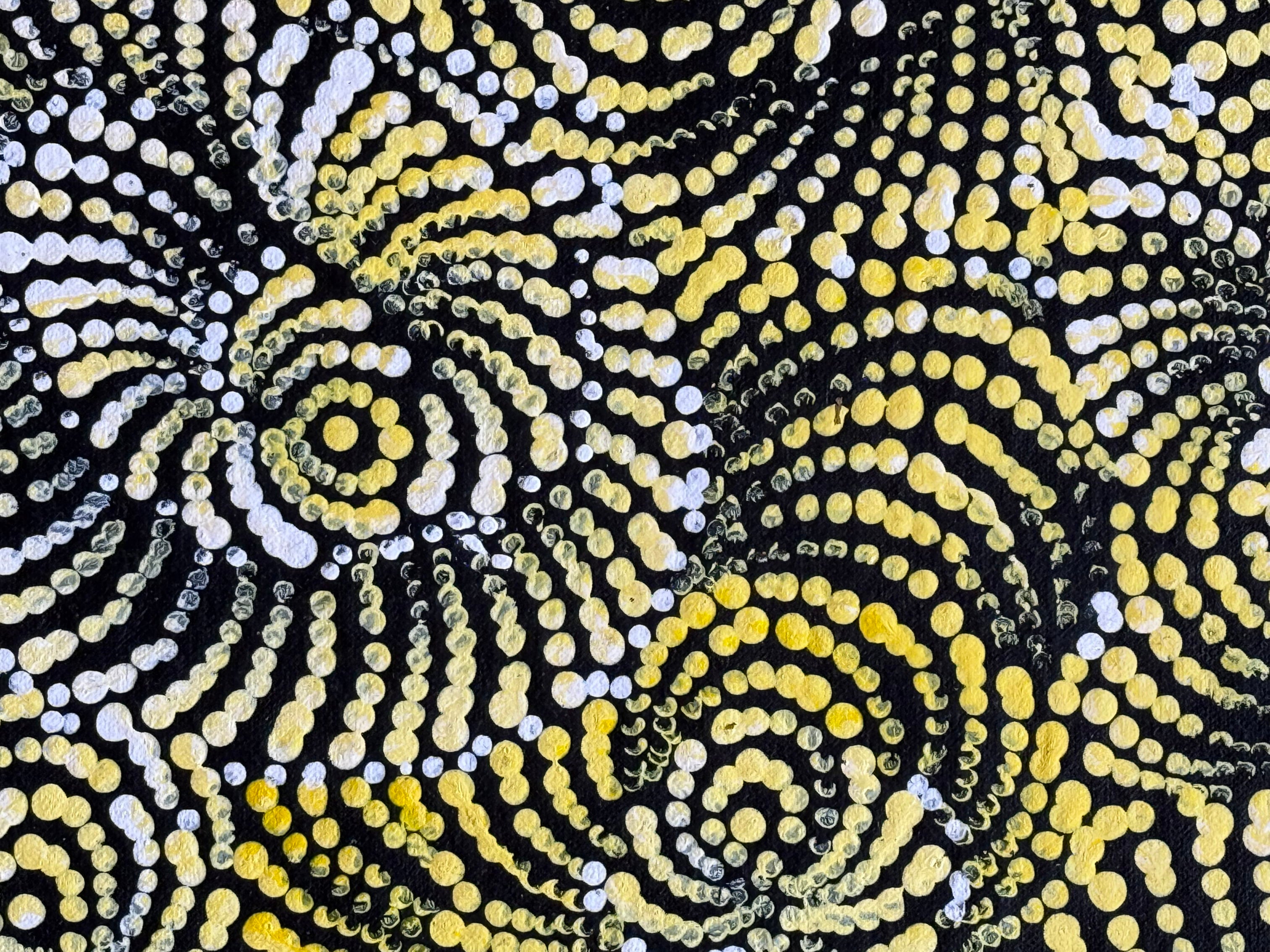 Maria Nampijinpa Brown - Flying Ants Dreaming  .35-4