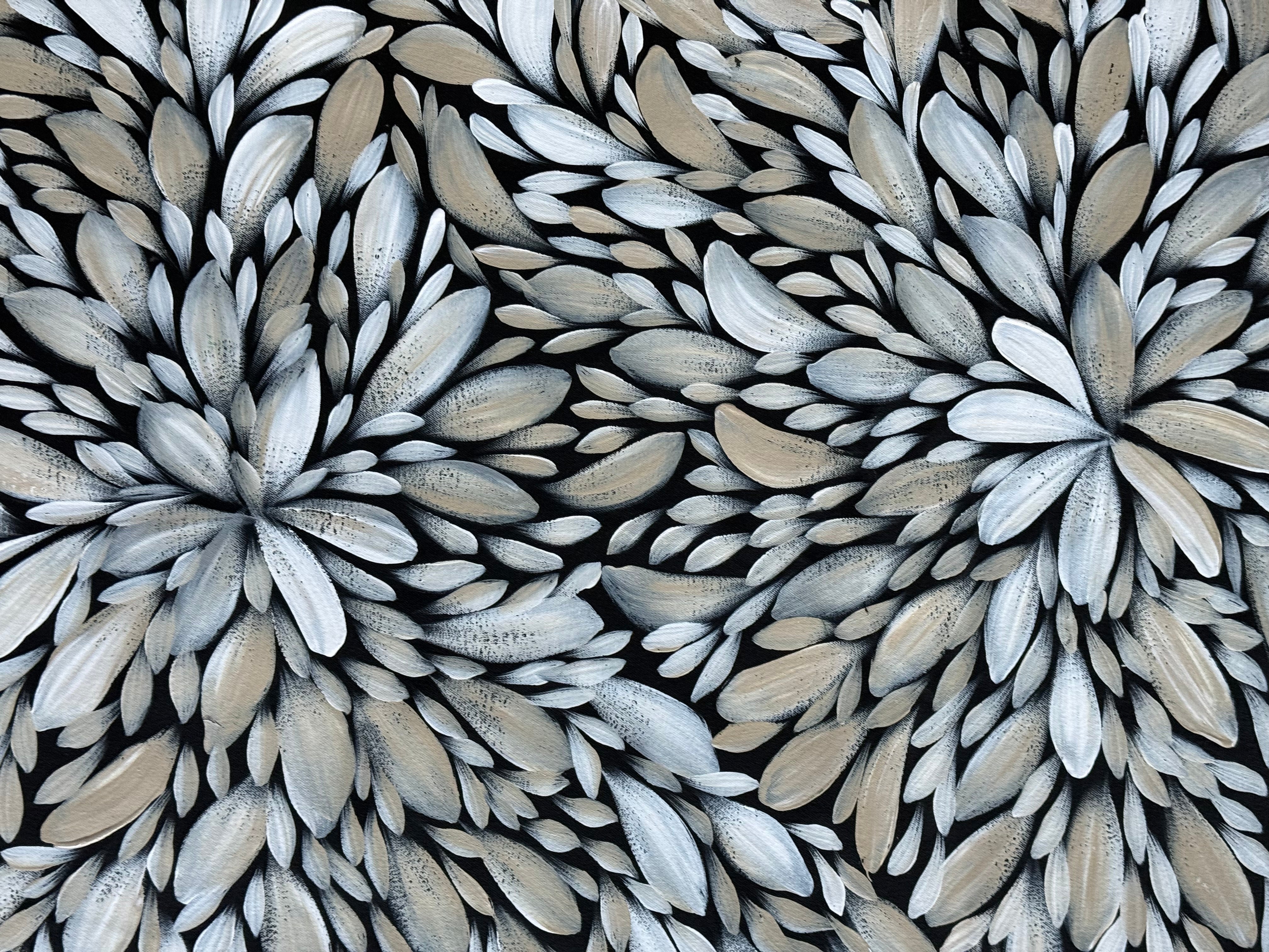 Louise Numina Napananka - Bush Medicine Leaves .16-35