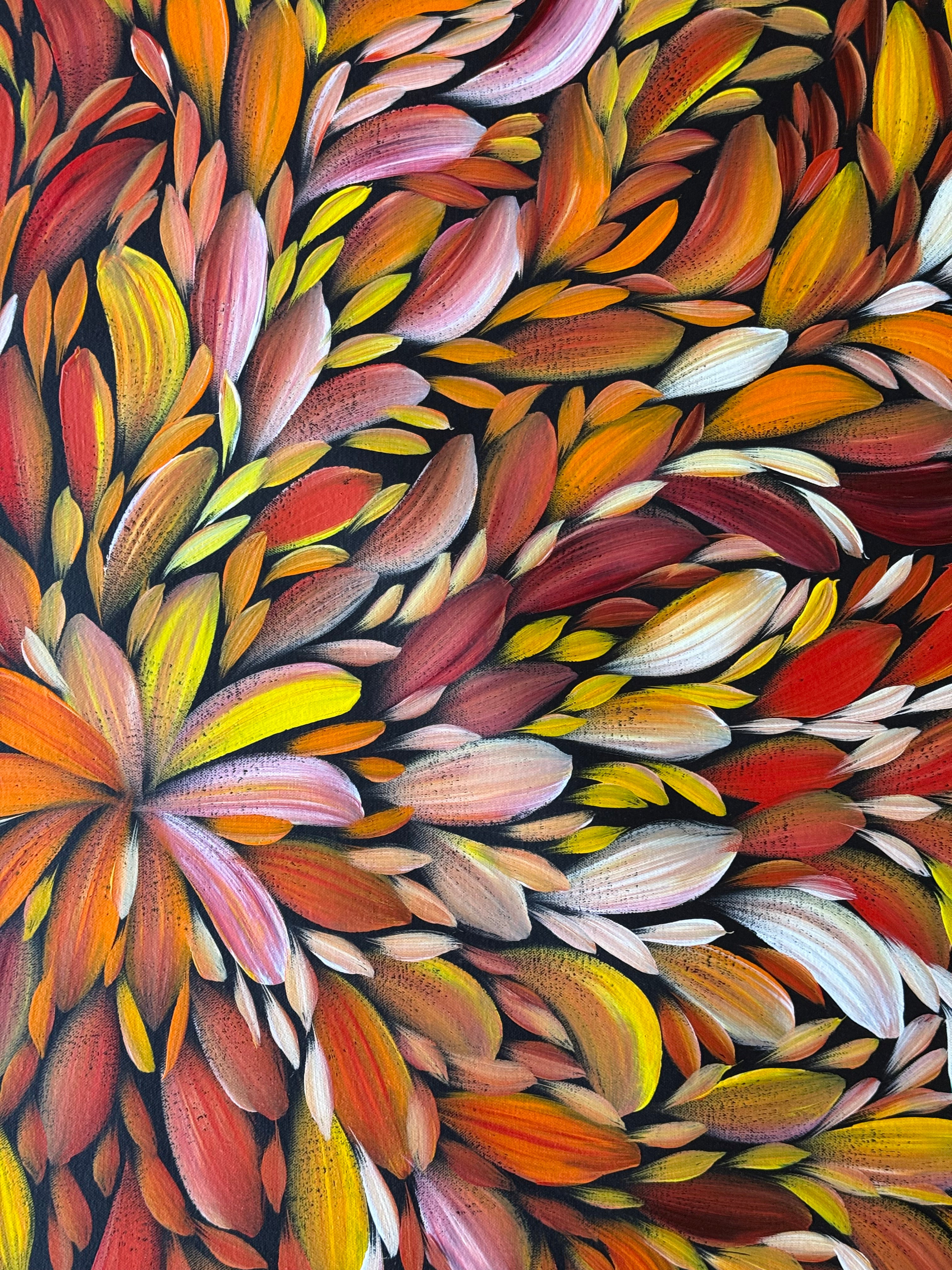 Louise Numina Napananka - Bush Medicine Leaves .23-20