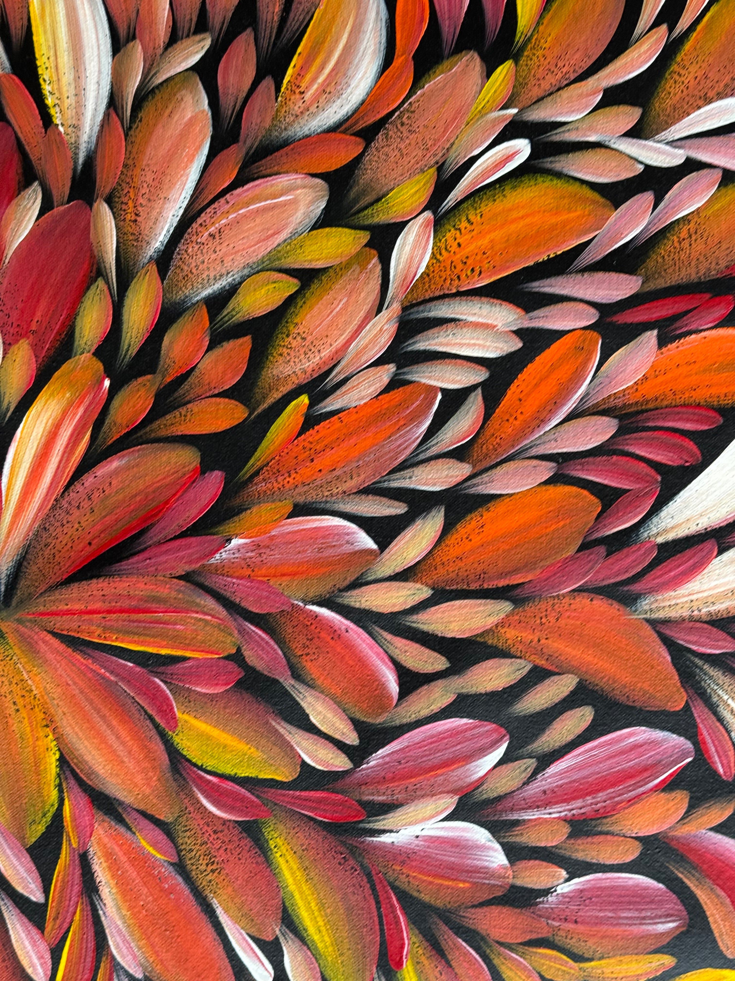 Louise Numina Napananka - Bush Medicine Leaves - 61x56cm .16-55