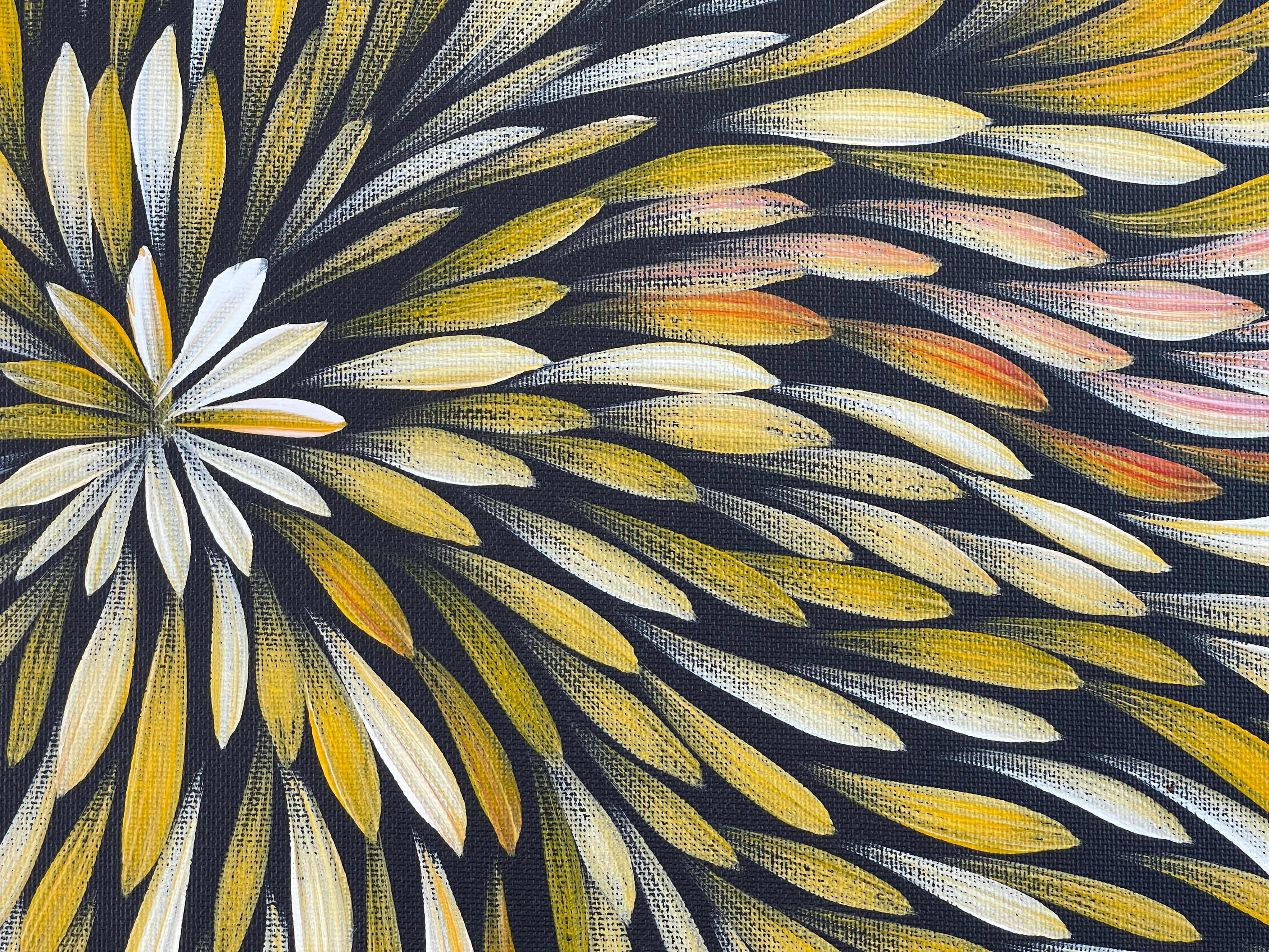 Sharon Numina - Bush Medicine Leaves- 36x52cm .28-41