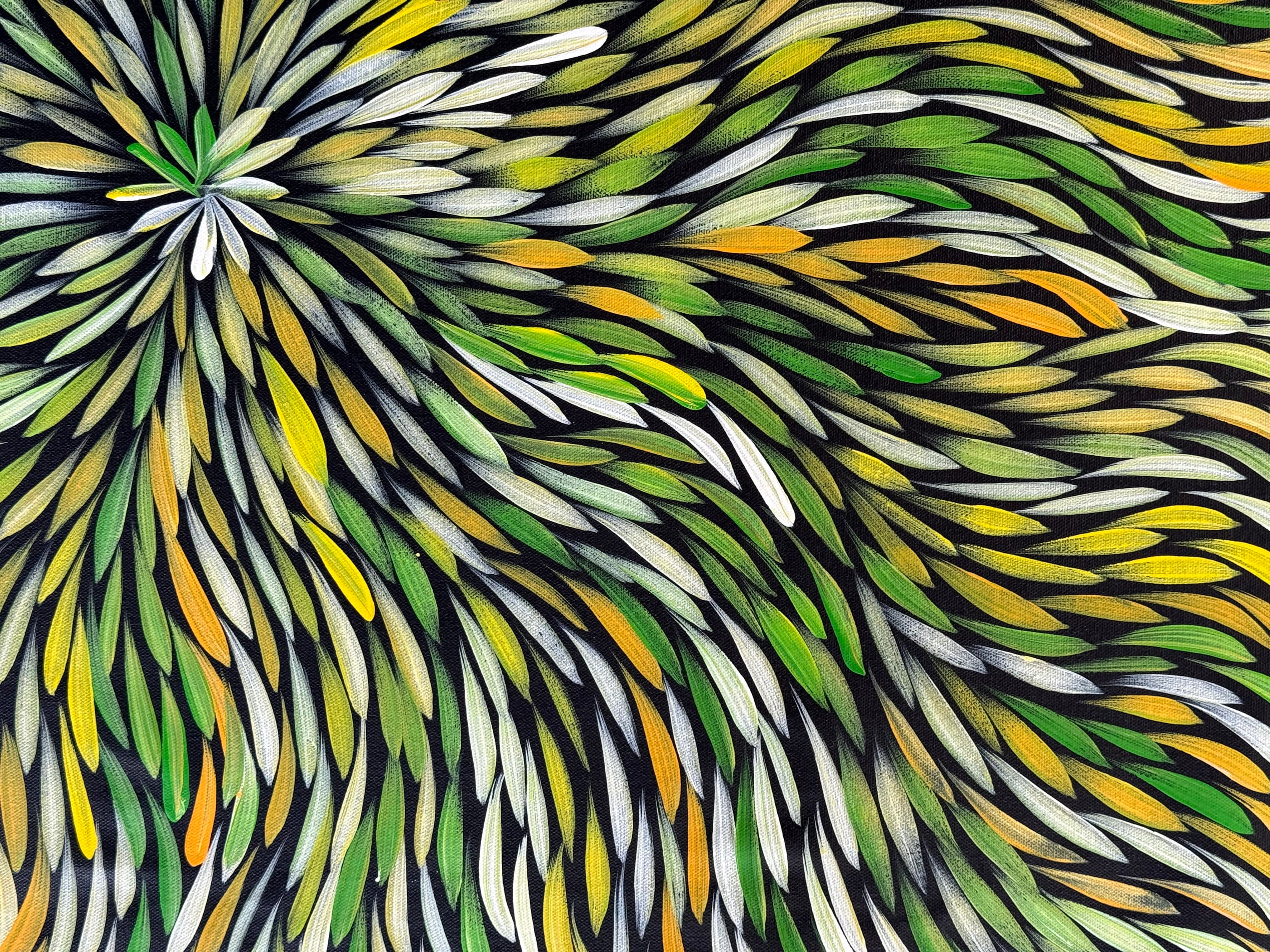 Sharon Numina - Bush Medicine Leaves - 67x89cm .14-26