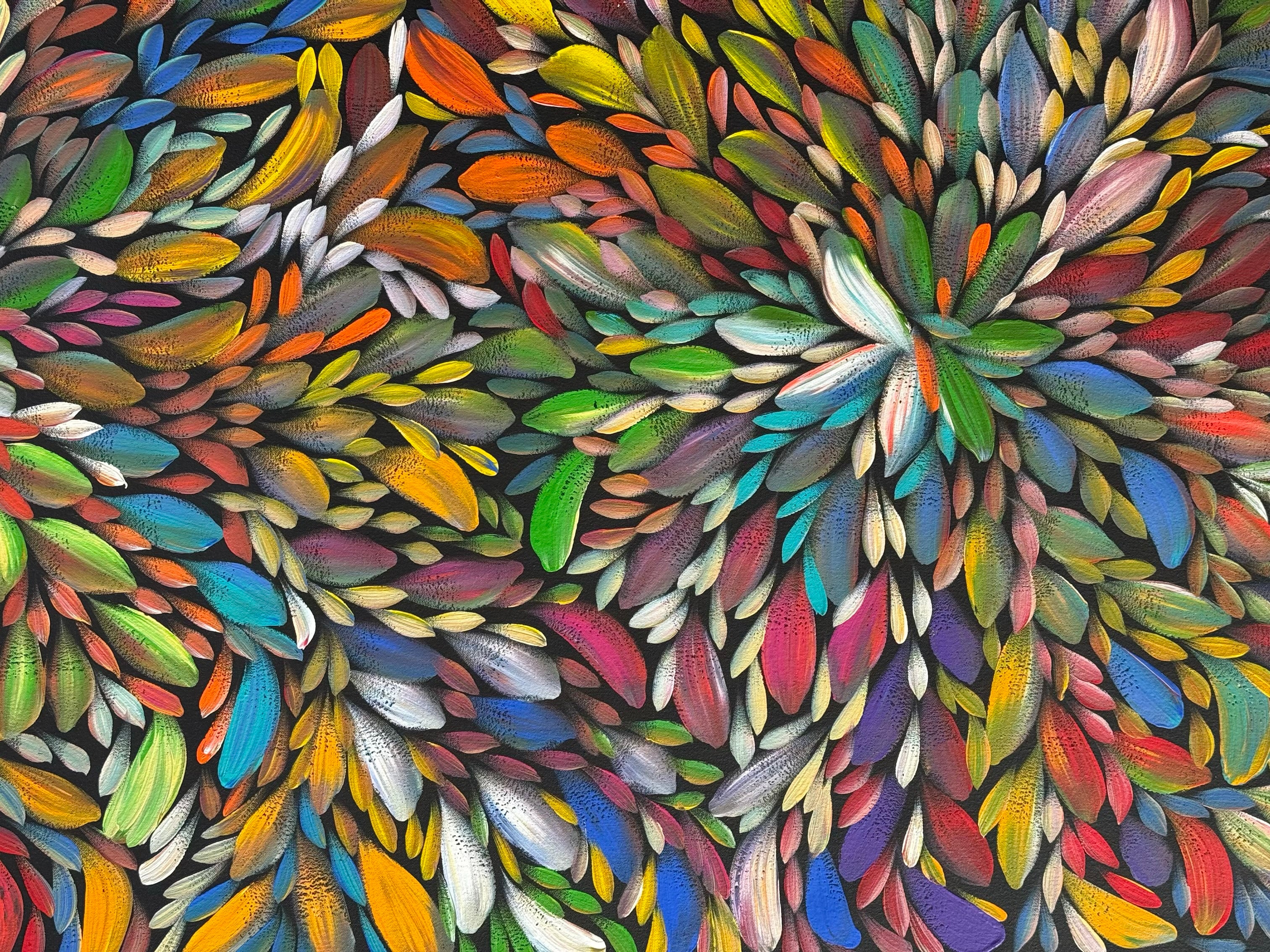 Louise Numina Napananka - Bush Medicine Leaves .65-15
