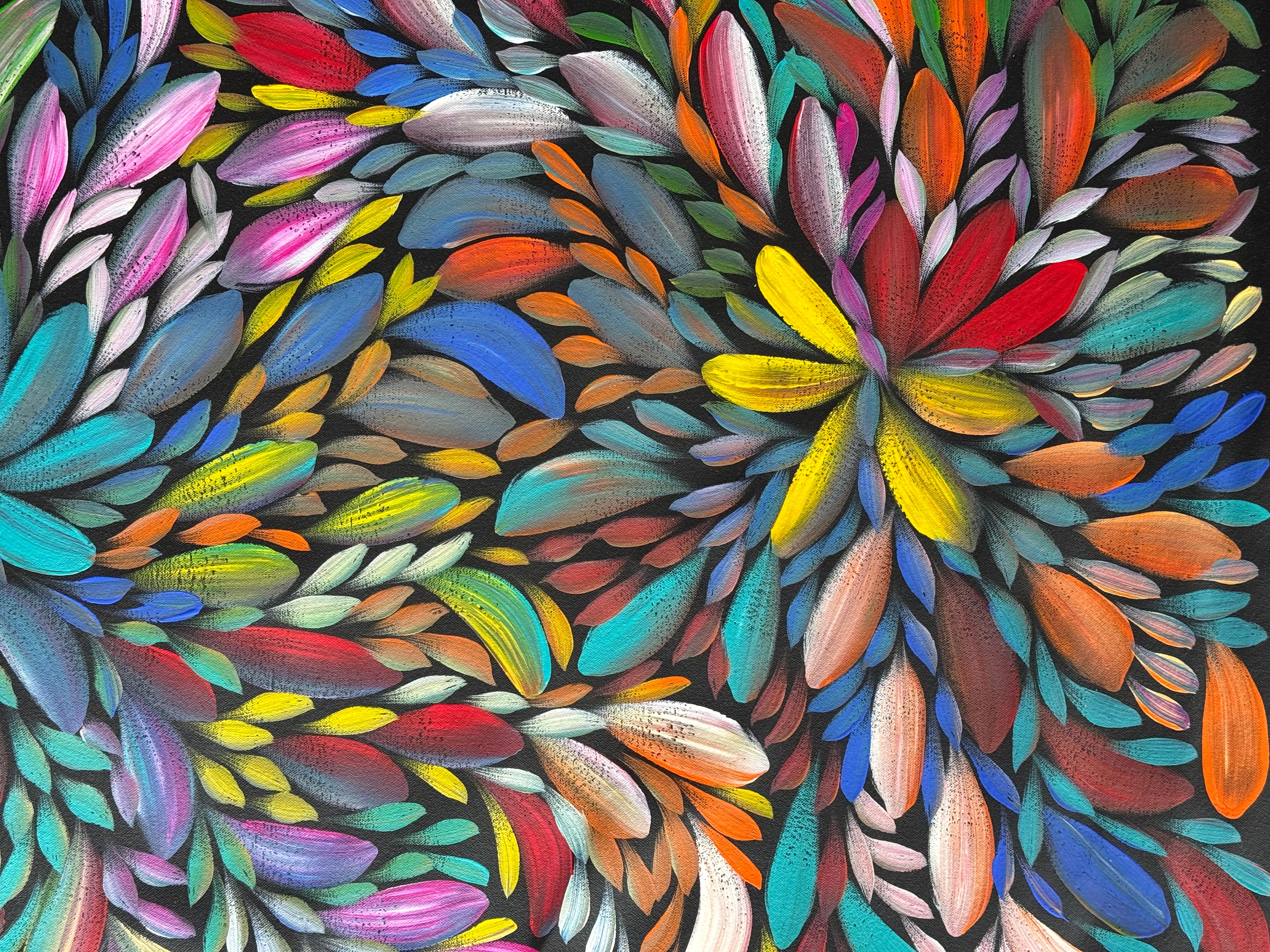 Louise Numina Napananka - Bush Medicine Leaves .09-8