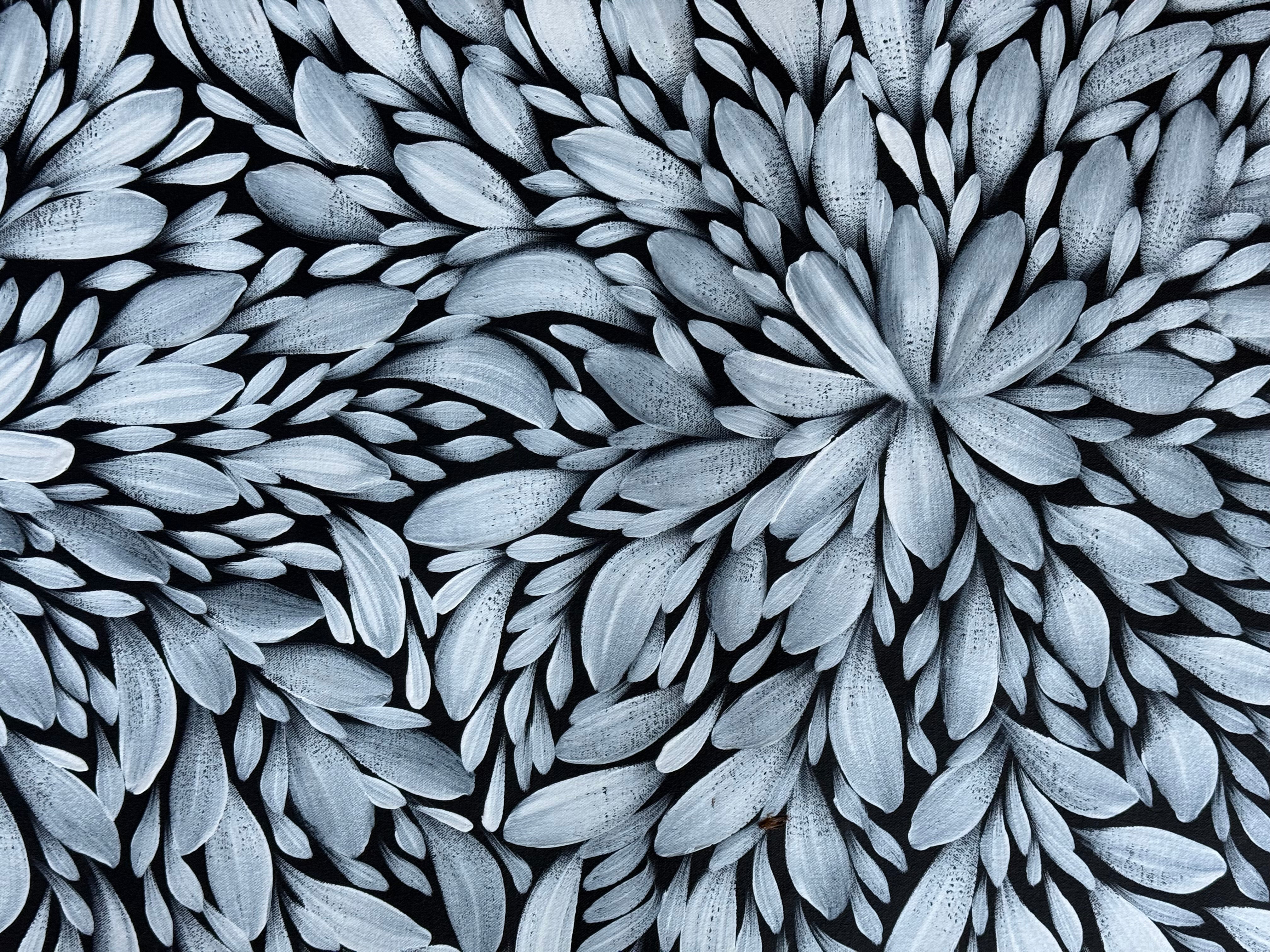 Louise Numina Napananka - Bush Medicine Leaves .16-33