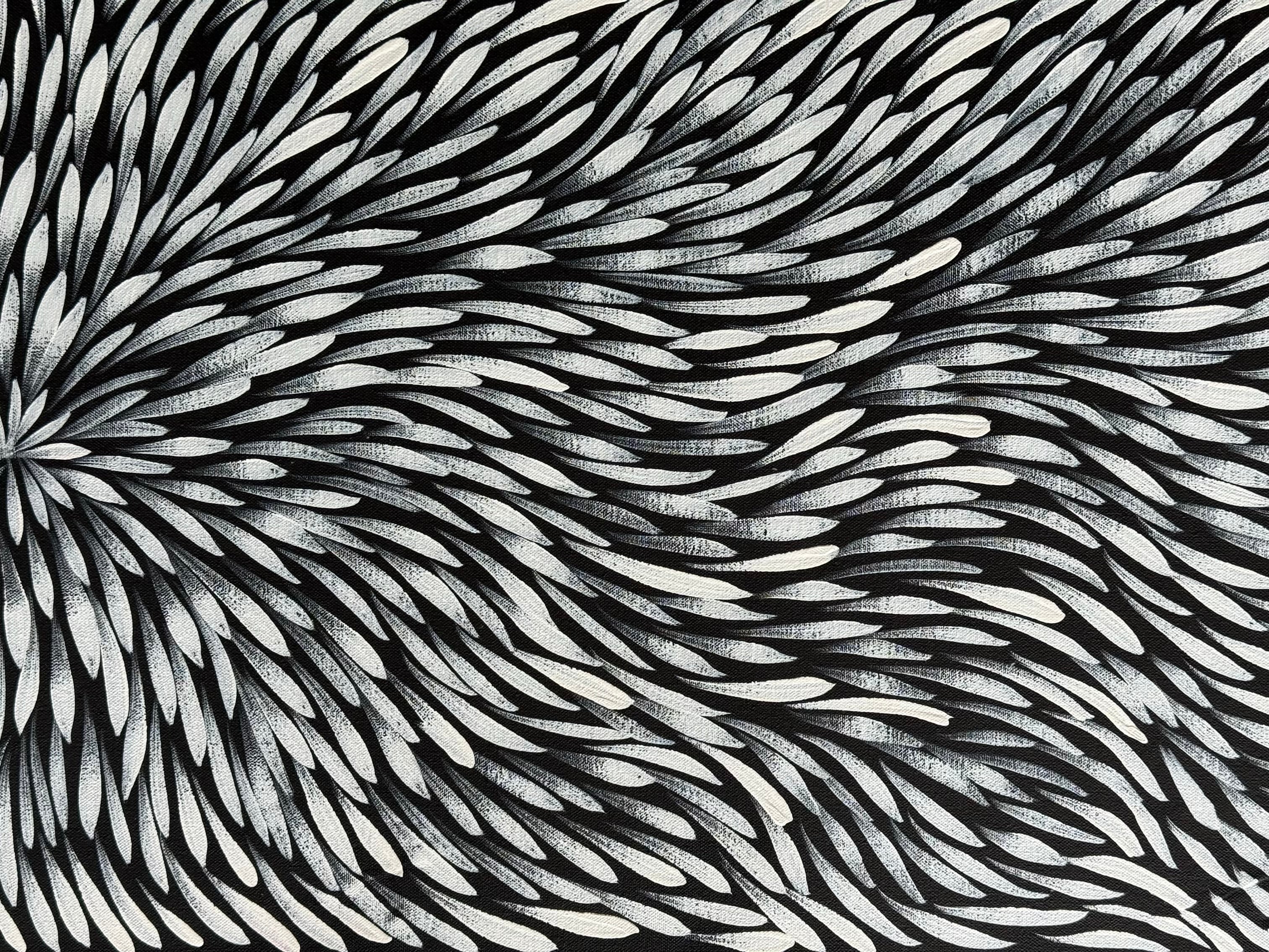 Sharon Numina - Bush Medicine Leaves .59-6