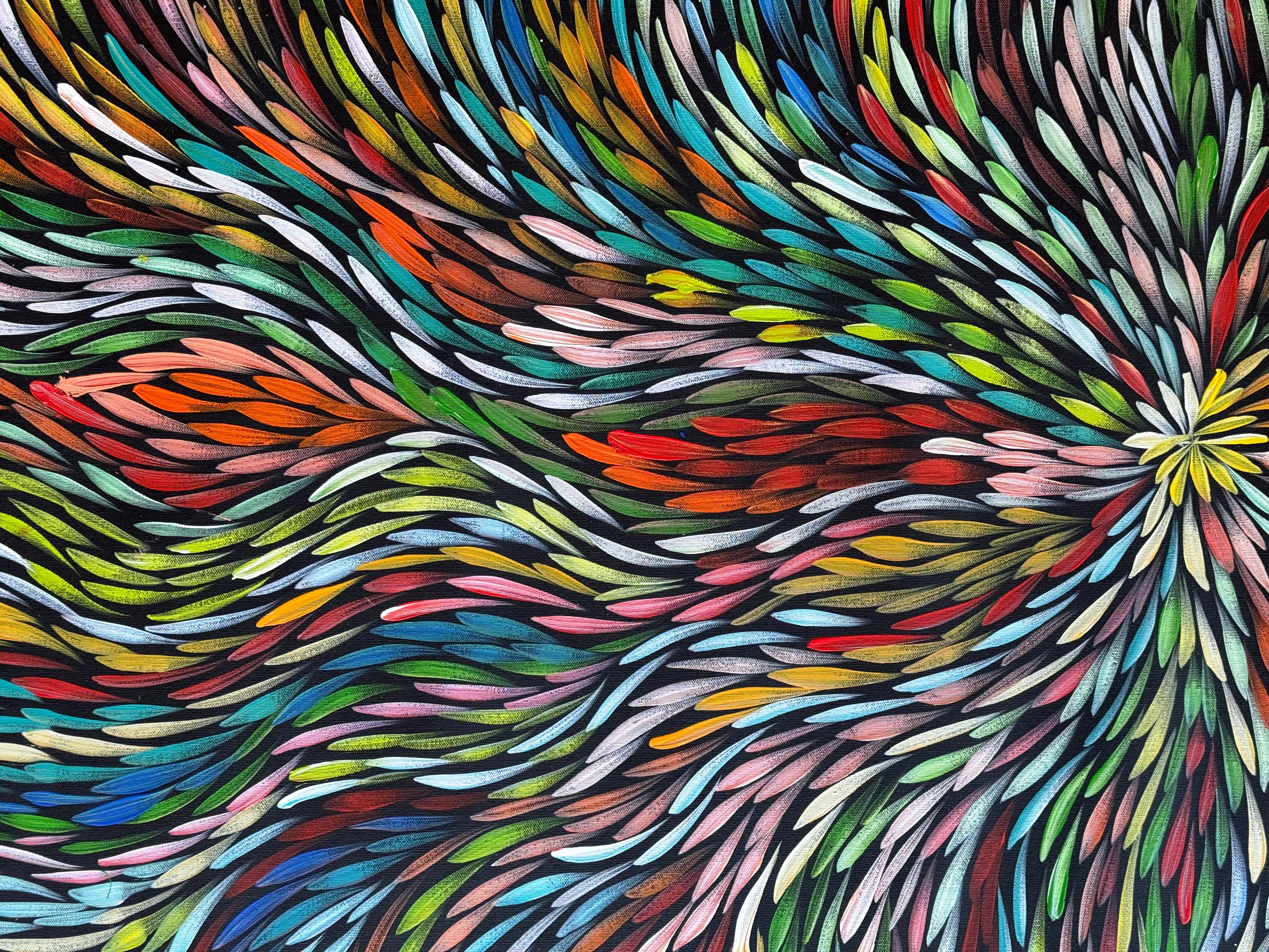 Sharon Numina - Bush Medicine Leaves .01-4