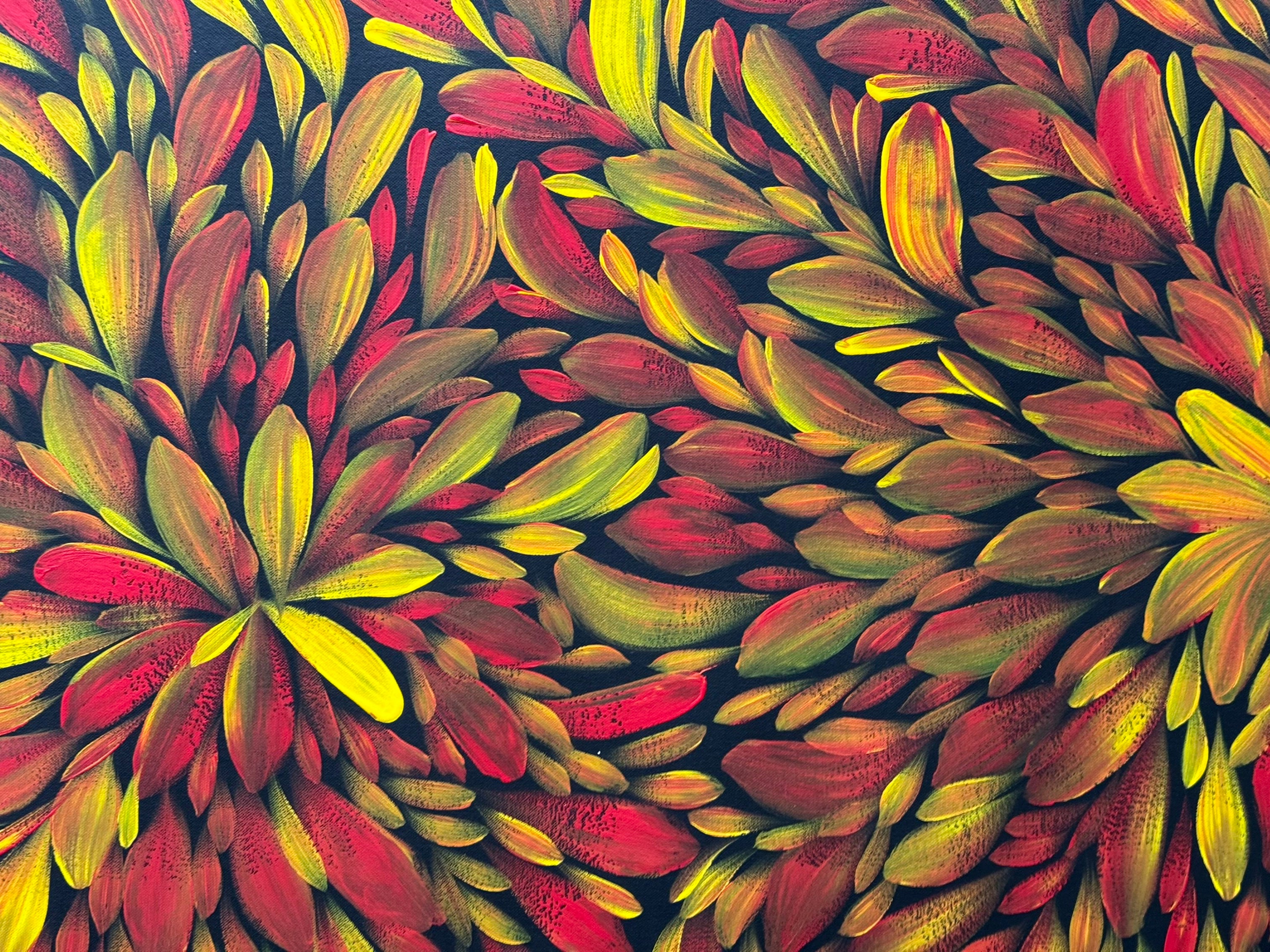 Louise Numina Napananka - Bush Medicine Leaves .57-56