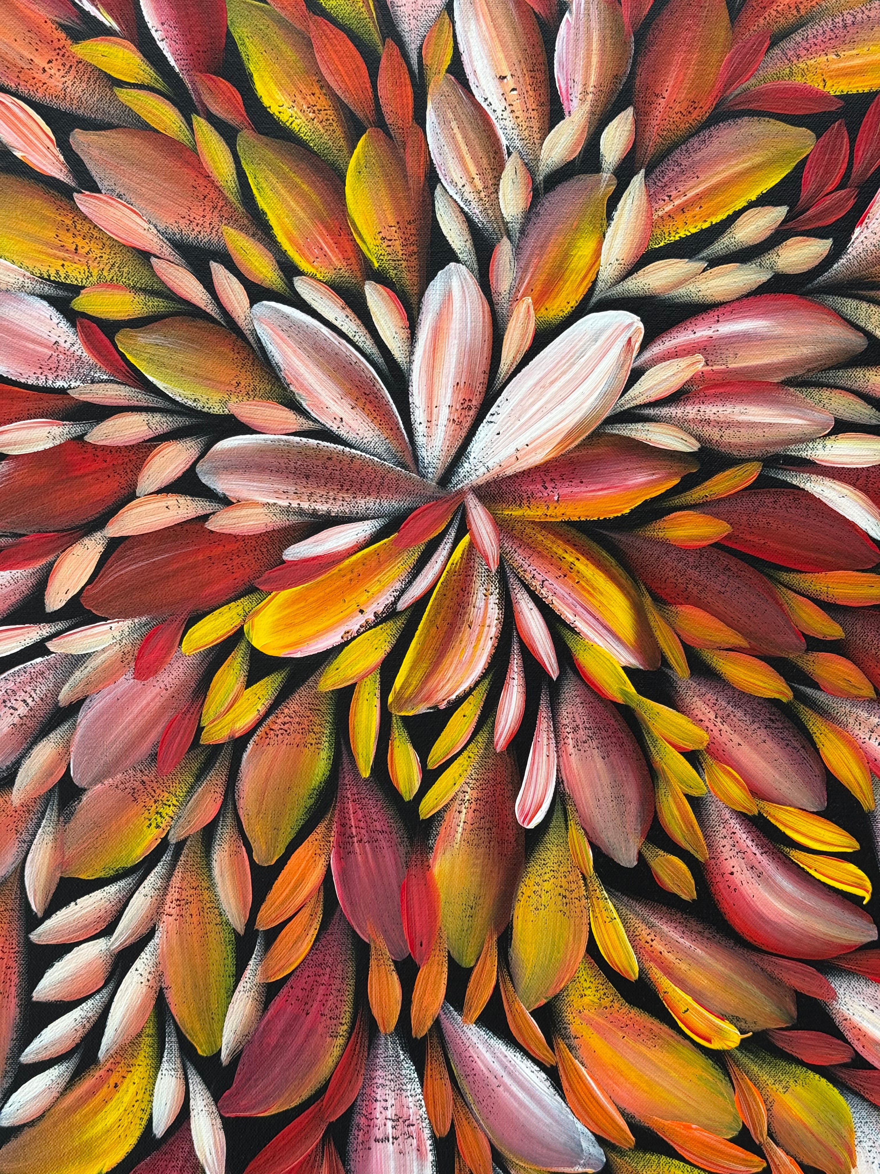 Louise Numina Napananka - Bush Medicine Leaves .75-6