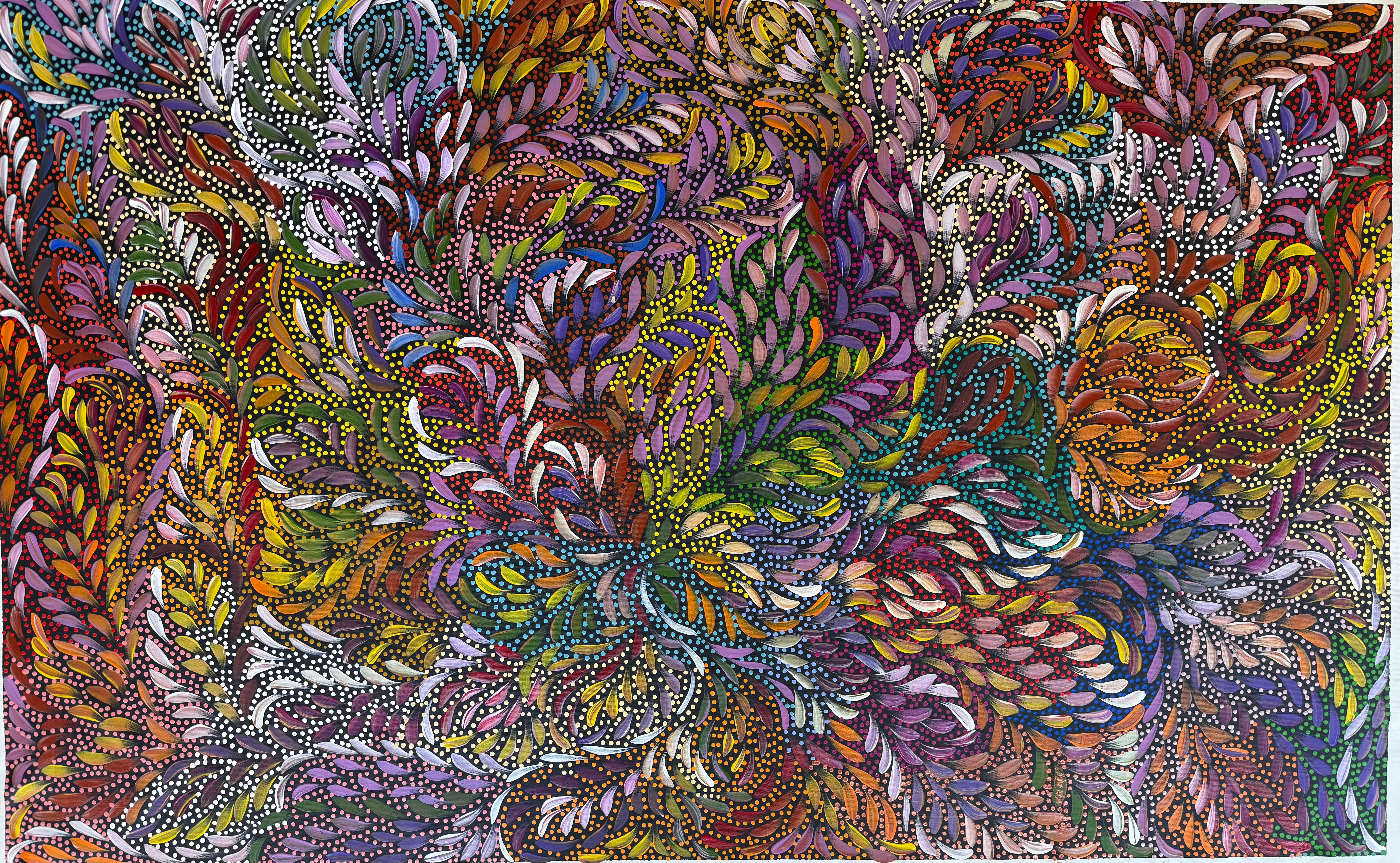 Caroline Numina - Bush Medicine Leaves .91-11