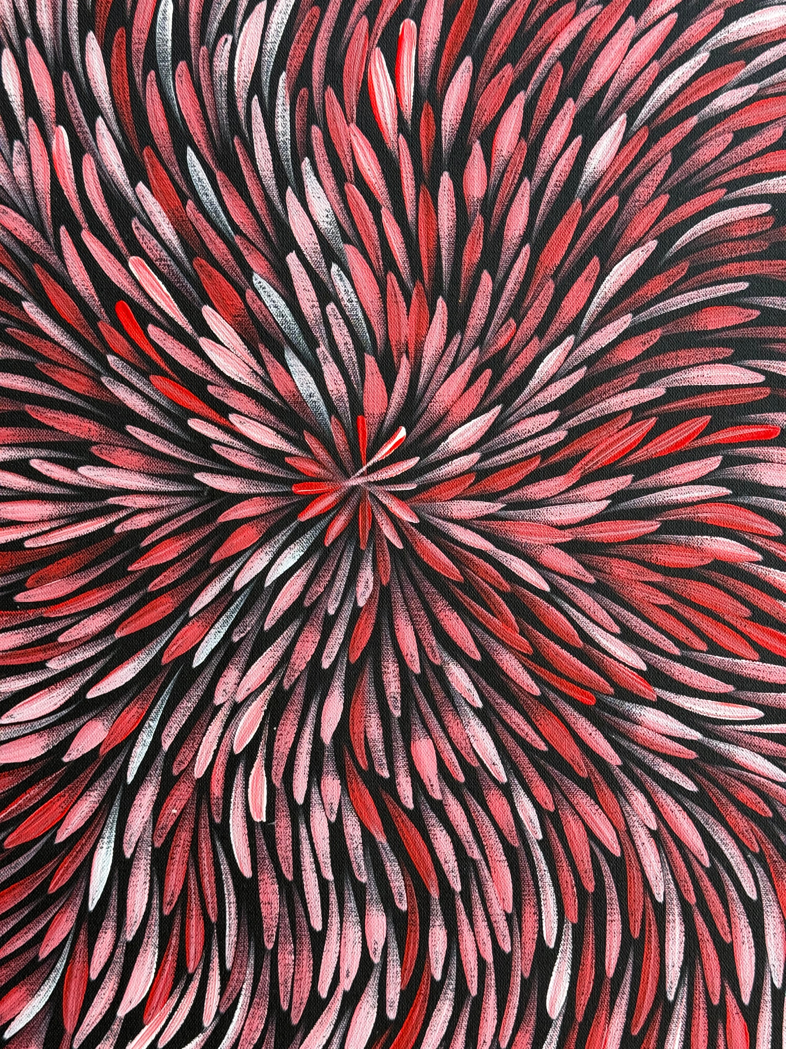 Sharon Numina - Bush Medicine Leaves .01-9