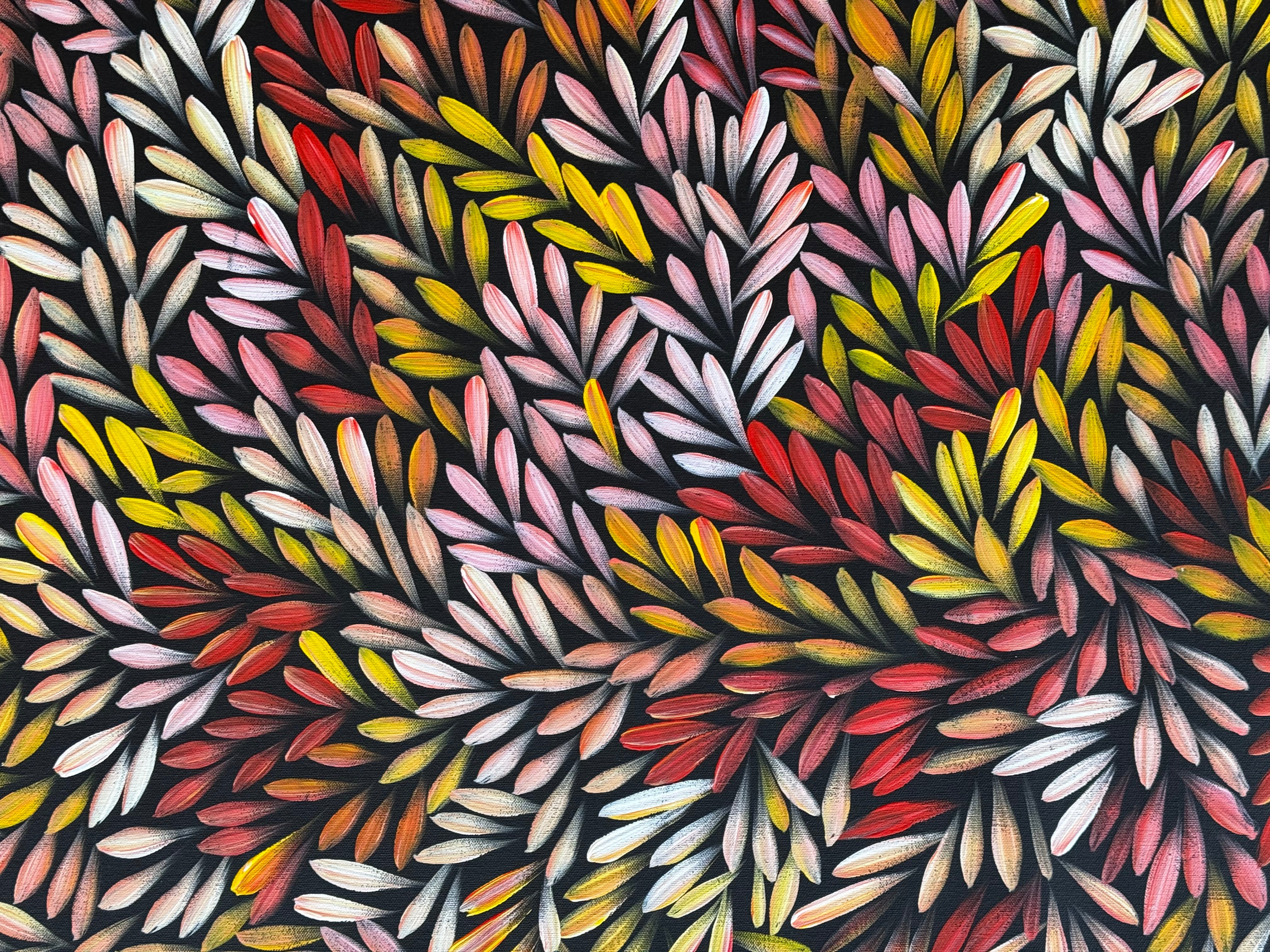 Sharon Numina - Bush Medicine Leaves .95-4