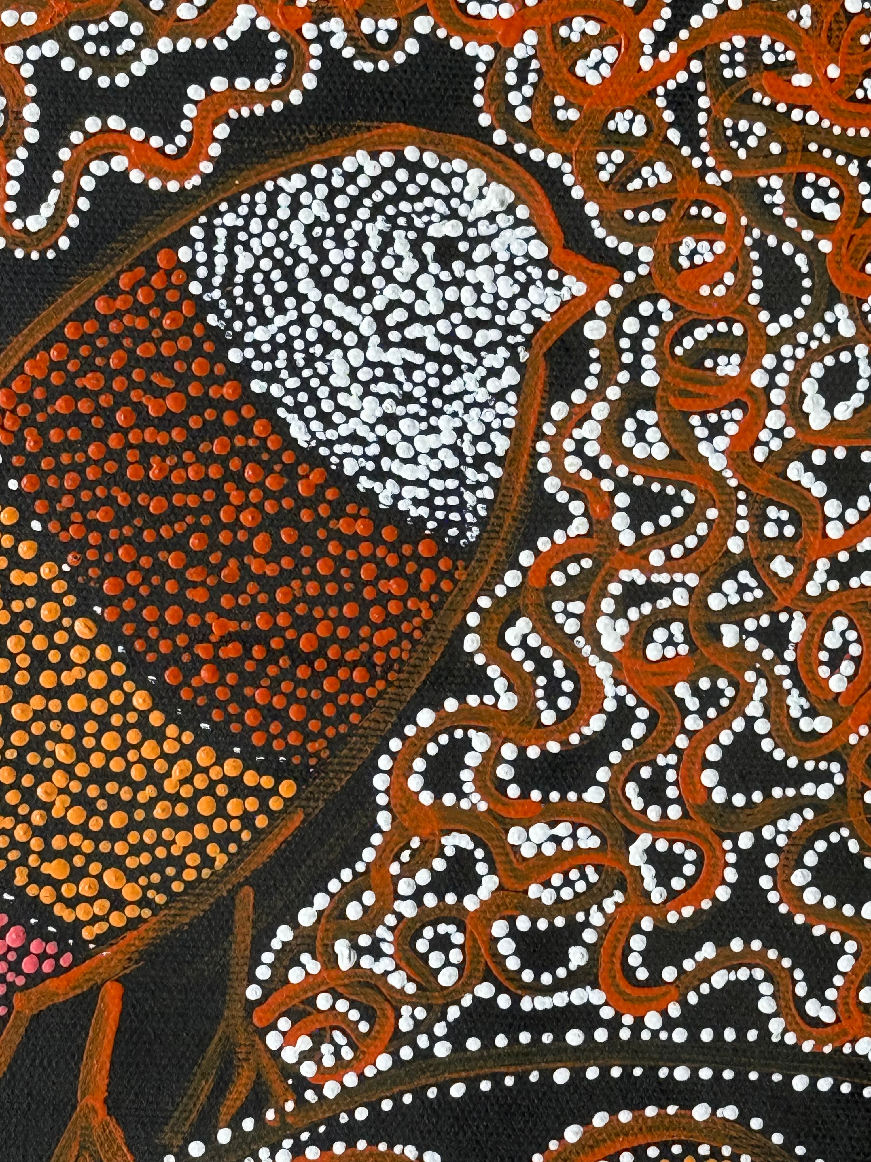 Geraldine Napangardi Granites - Ngalyipi Jukurrpa (Snake Vine Dreaming) - Stretched