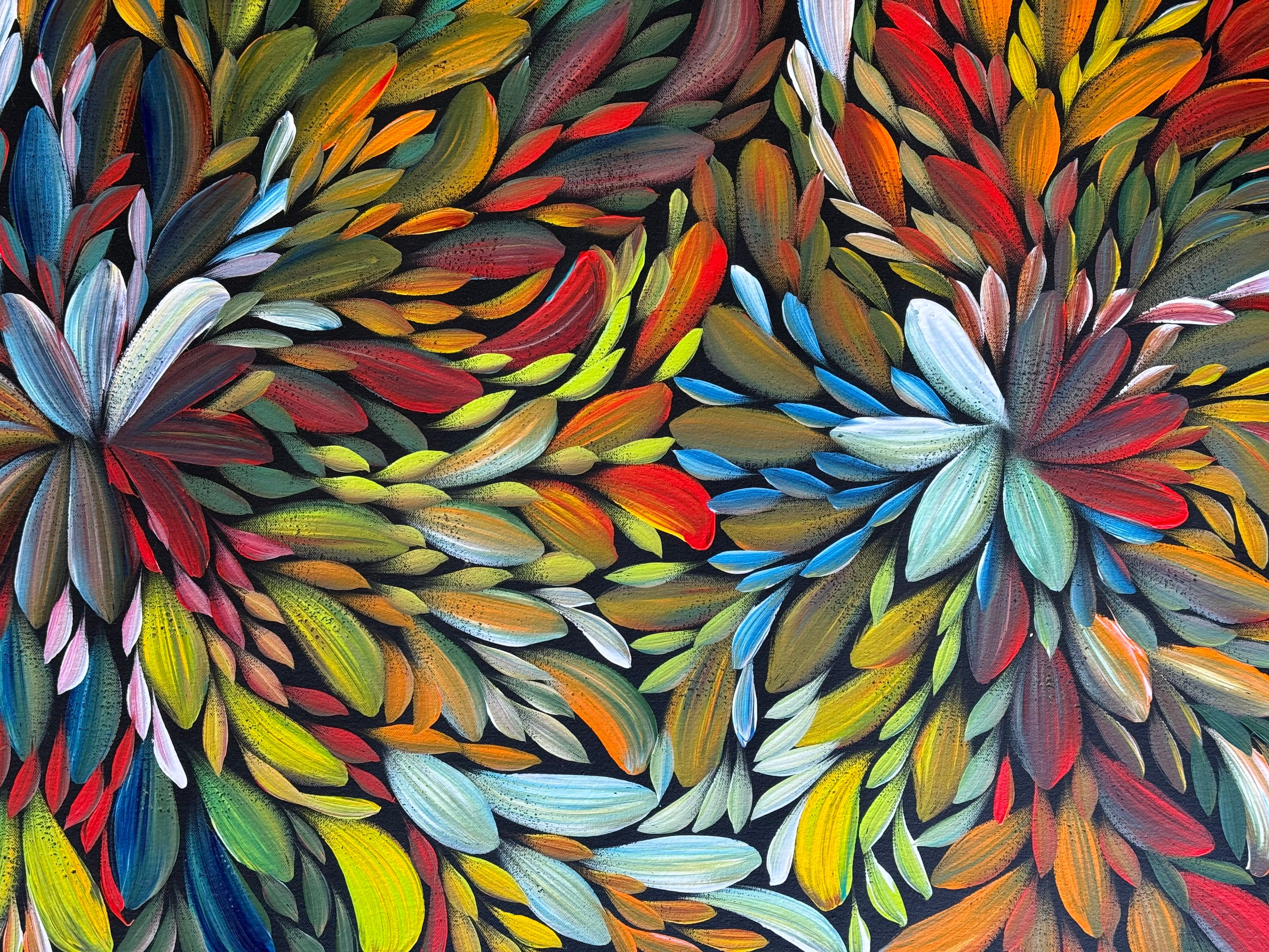 Louise Numina Napananka - Bush Medicine Leaves .19-12