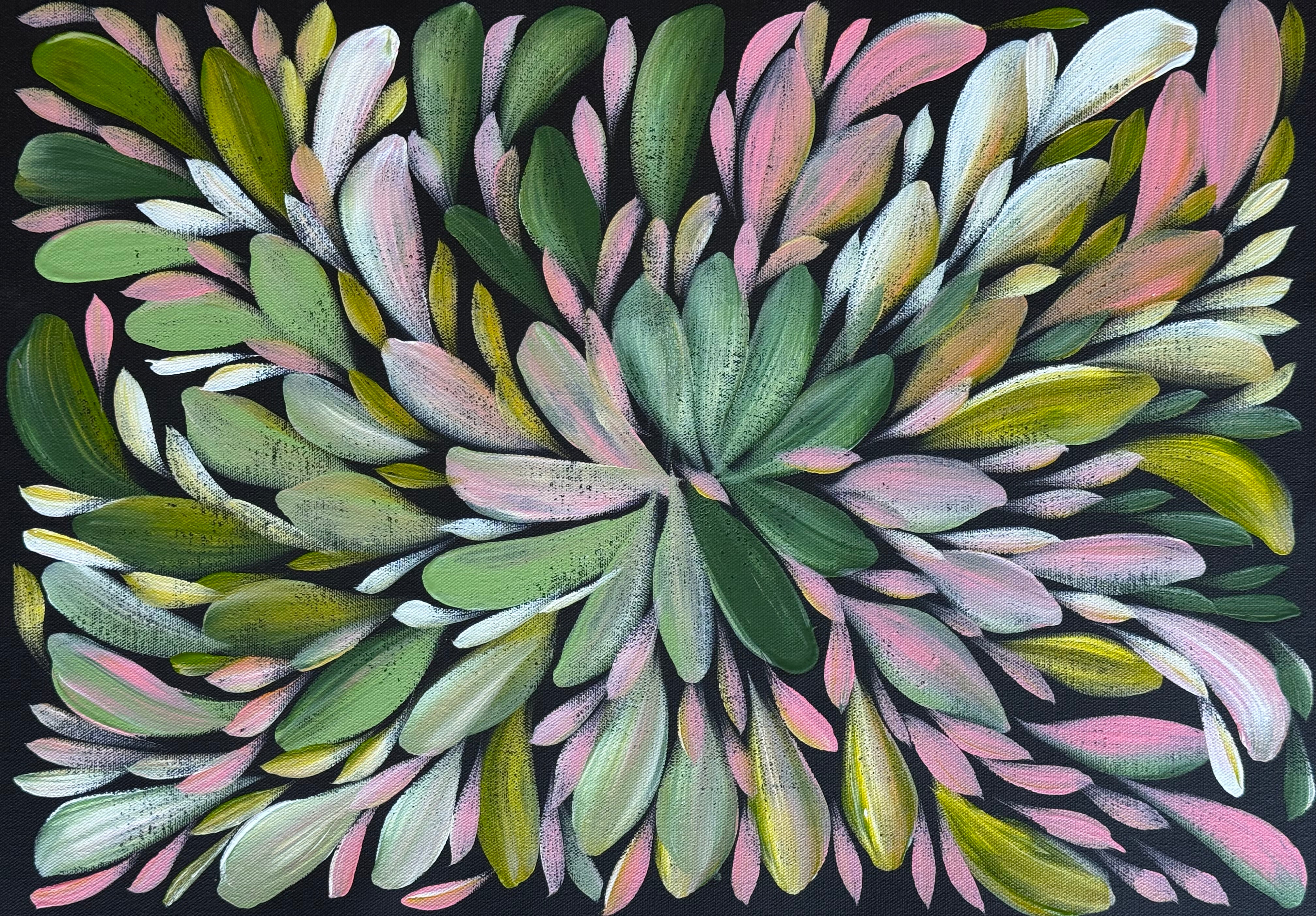 Louise Numina Napananka - Bush Medicine Leaves .31-17