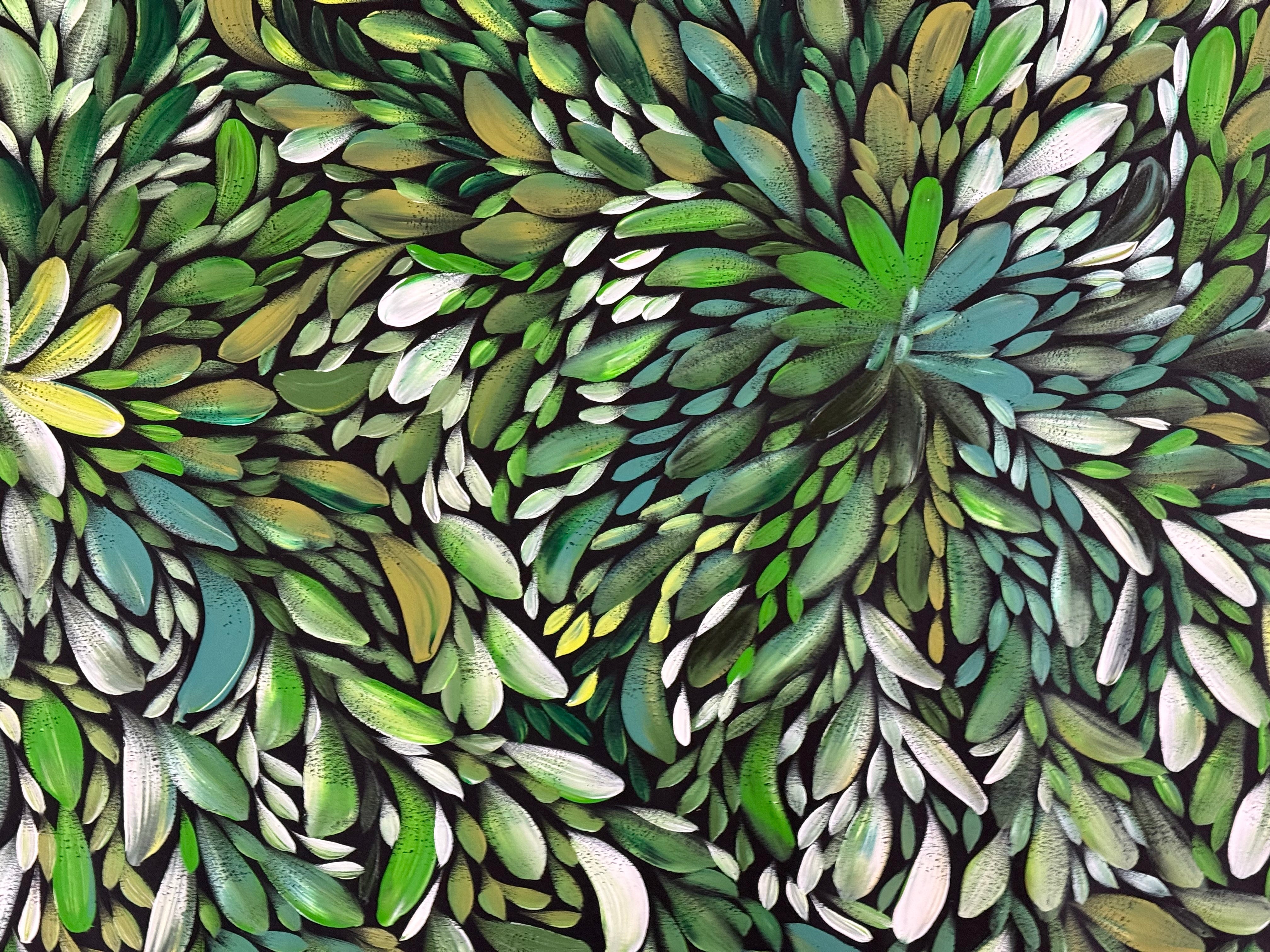 Louise Numina Napananka - Bush Medicine Leaves .22-19