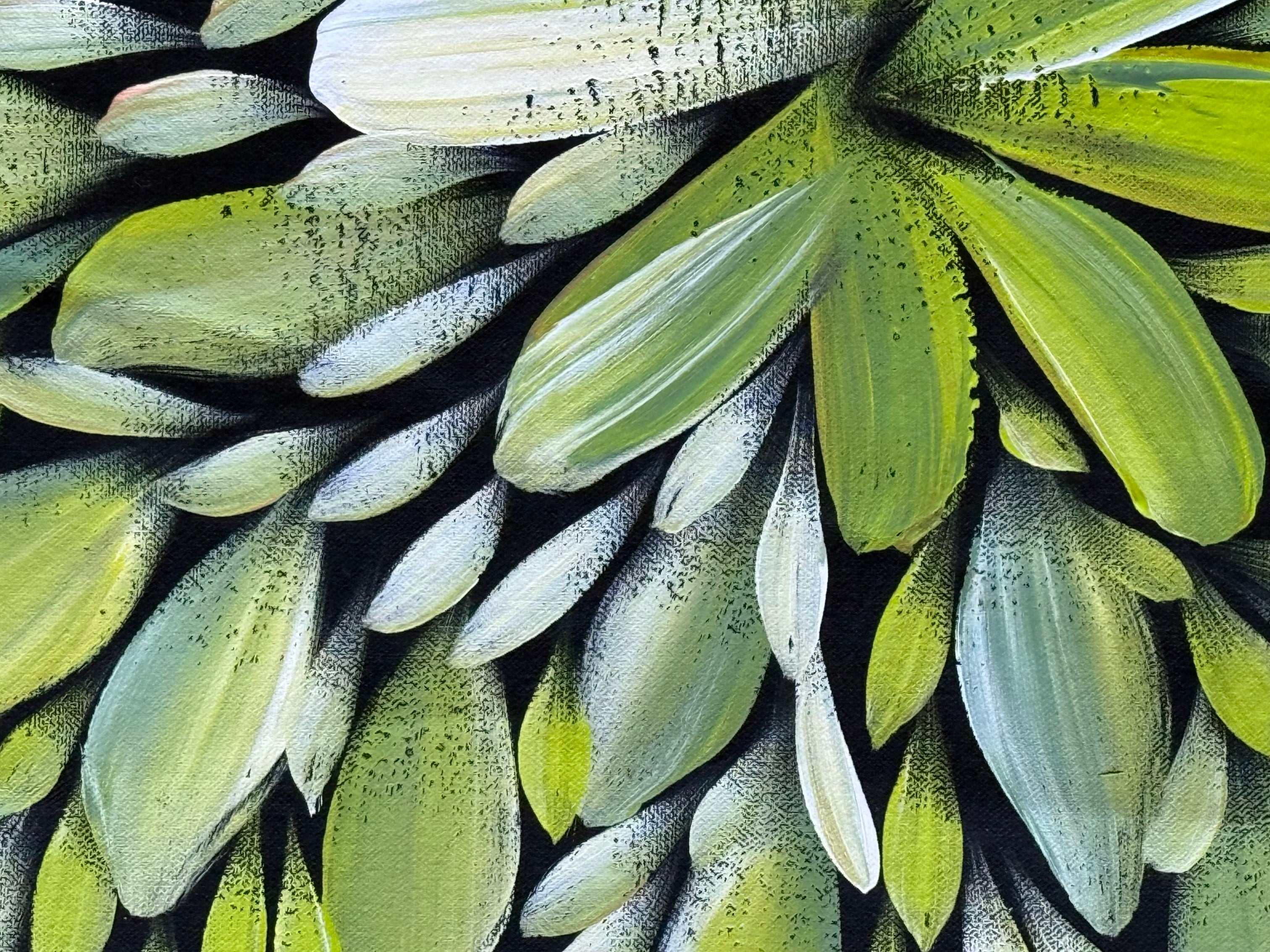 Louise Numina Napananka - Bush Medicine Leaves .49-8