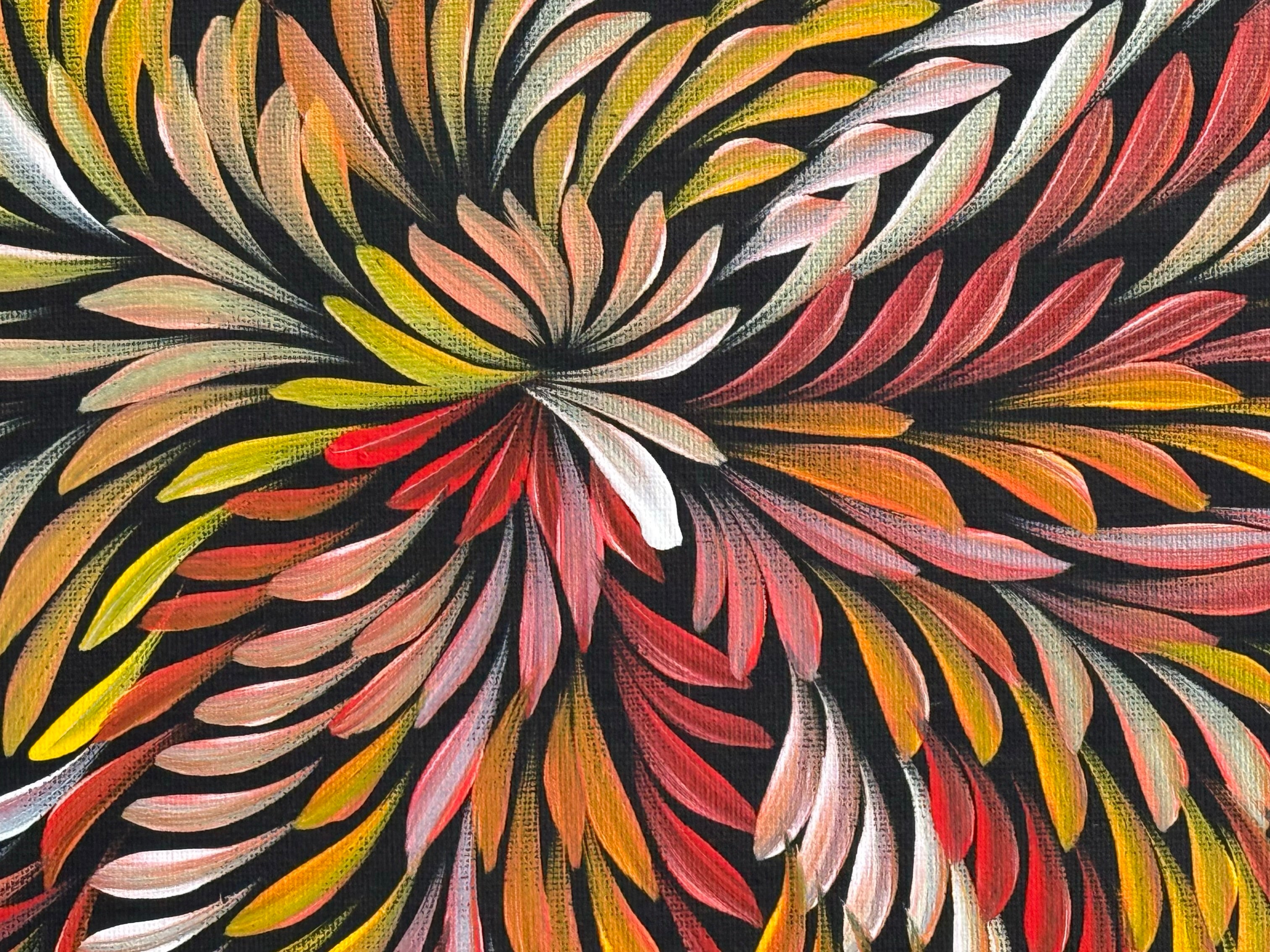 Caroline Numina - Bush Medicine Leaves .48-7