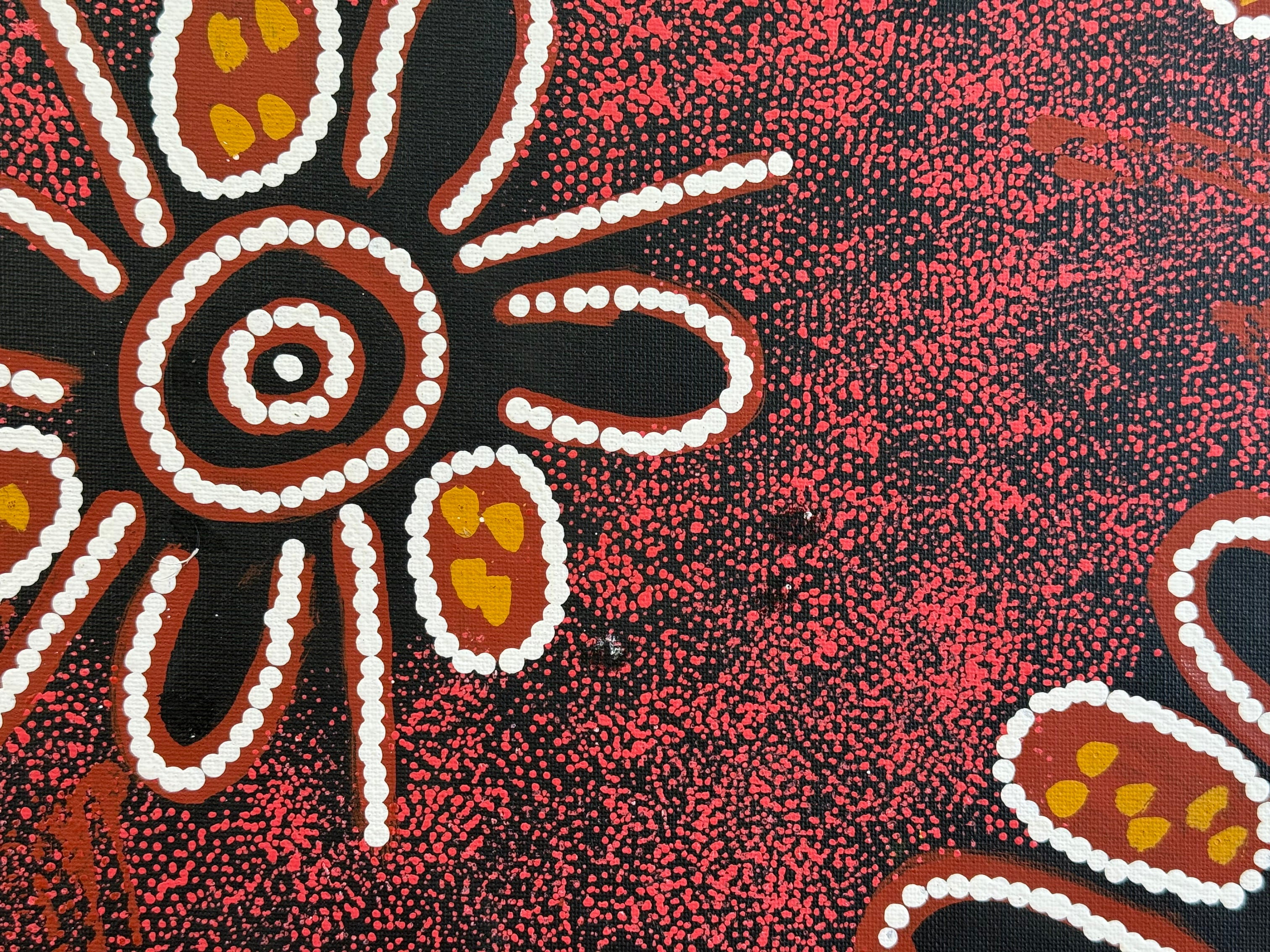 Barbara Pananka - Women's Collecting Bush Tomatoes .38-1