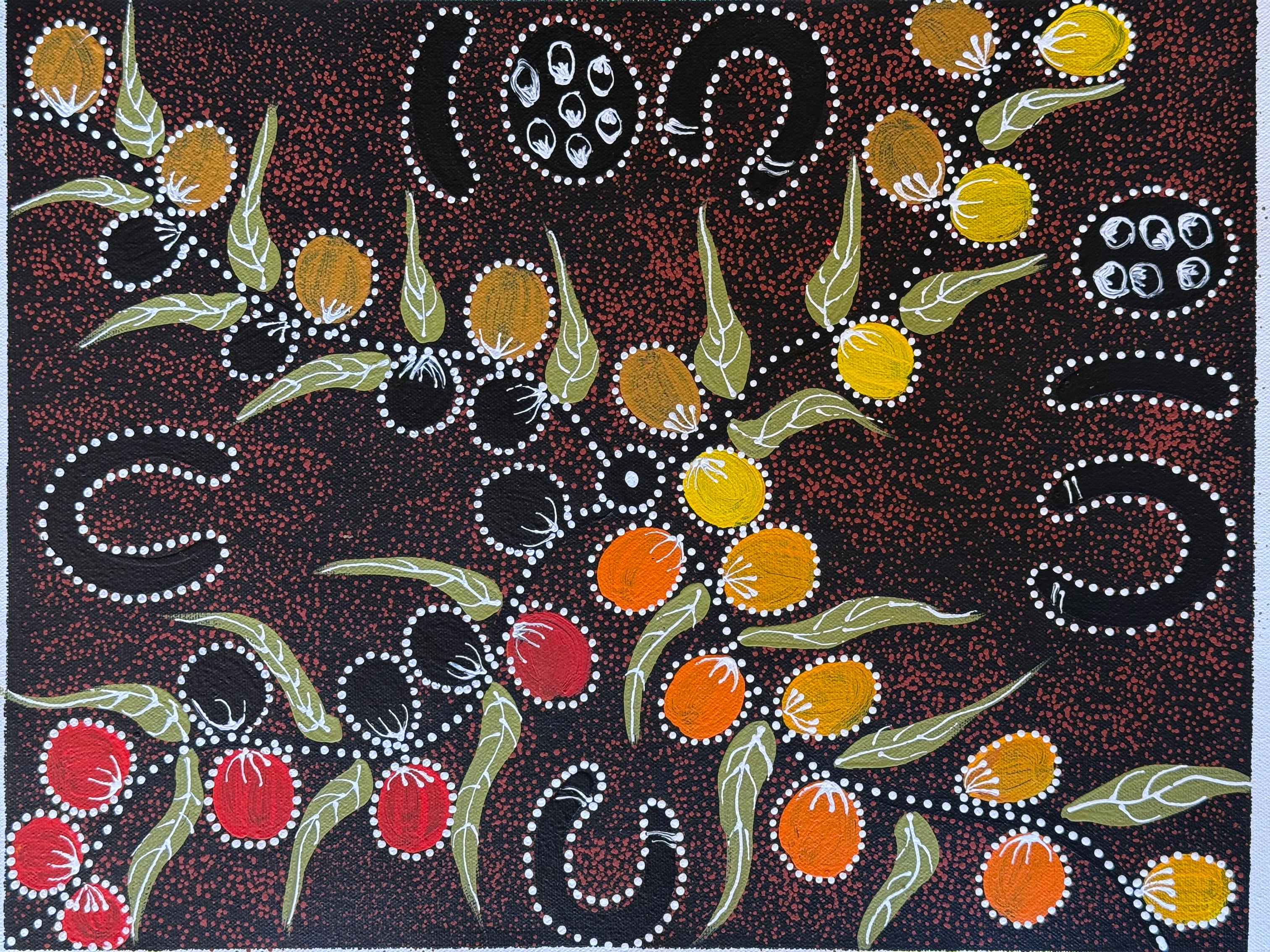 Caroline Numina - Women Gathering Bush Tomatoes .10-48
