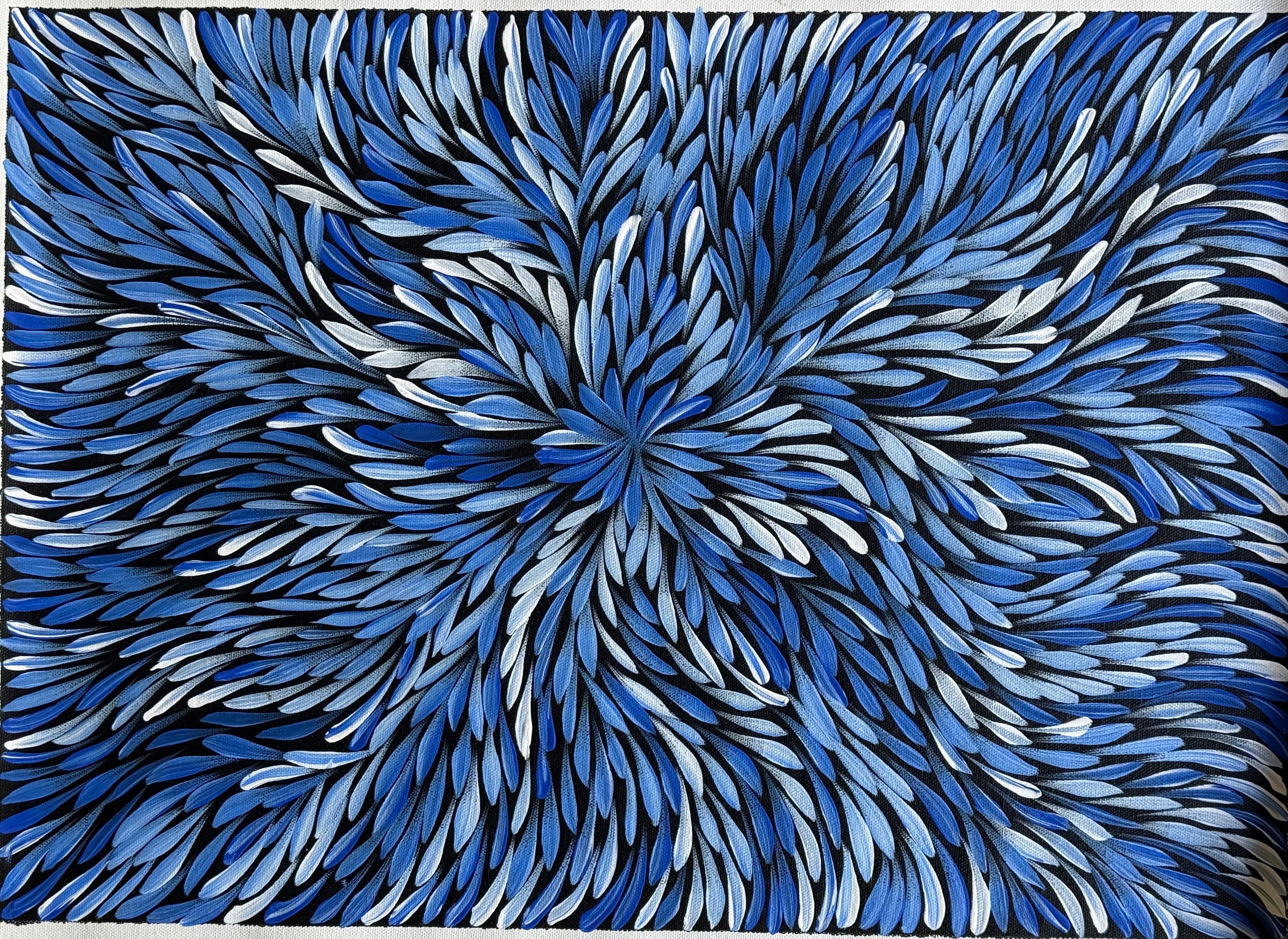 Sharon Turner - Bush Medicine Leaves - 52x37cm .16-15